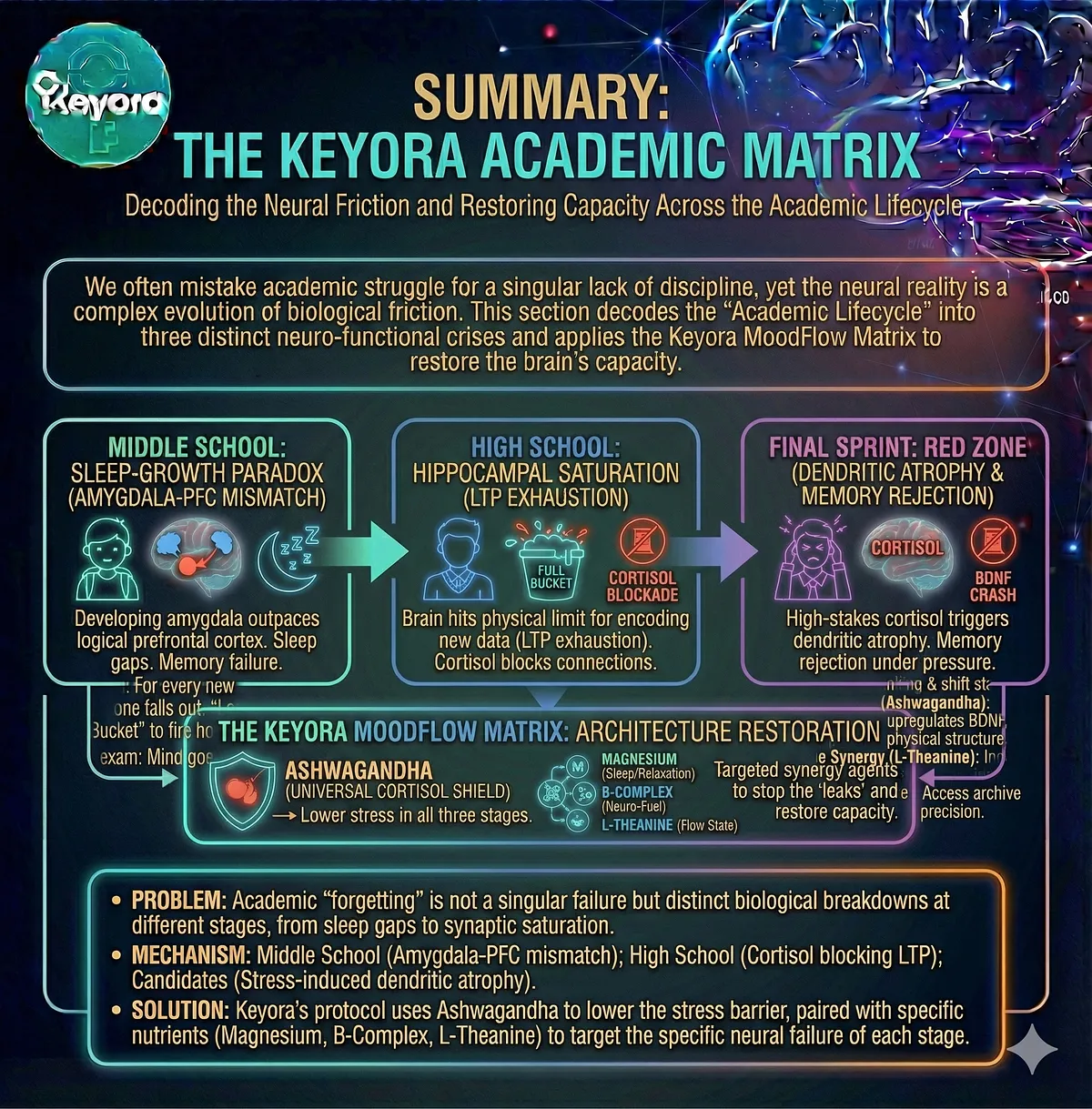 Keyora Academic Matrix: Flowchart detailing Stress-Induced Atrophy and Cognitive Collapse across the academic lifecycle, showing Hippocampal Saturation, Cortisol Blockade, and Memory Retrieval Block.