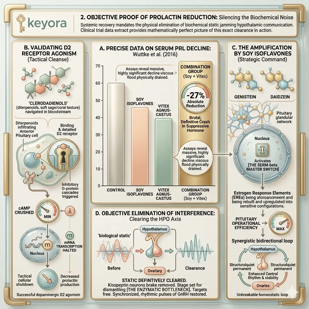 Keyora Systemic Regulator drives a 27% prolactin reduction via D2 receptor agonism, clearing noise to reclaim neurological sovereignty. Keyora Systemic Regulator drives a 27% prolactin reduction via D2 receptor agonism, clearing noise to reclaim neurological sovereignty.