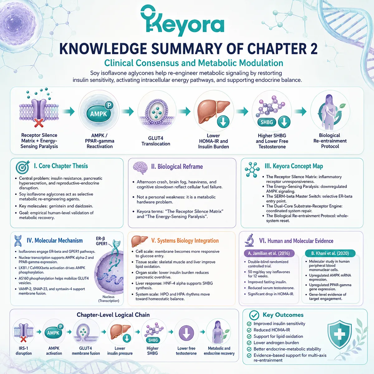 Keyora SERM-beta Master Switch triggers AMPK and PPAR-gamma mRNA upregulation, hardcoding metabolic sovereignty and permanent insulin sensitivity. Keyora SERM-beta Master Switch triggers AMPK and PPAR-gamma mRNA upregulation, hardcoding metabolic sovereignty and permanent insulin sensitivity.