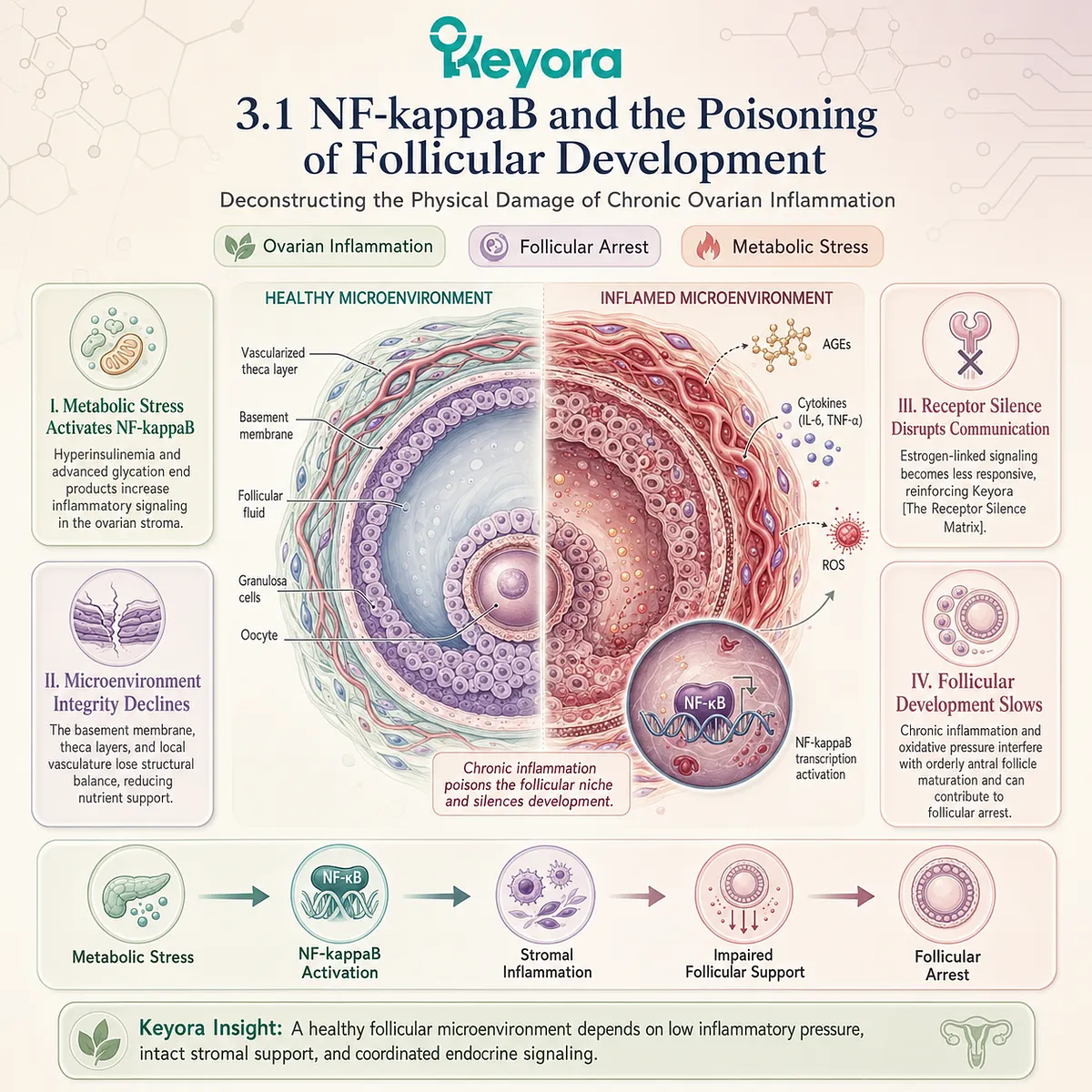 Keyora Receptor Silence Matrix deconstructs follicular maturation by disrupting metabolic pathways and triggering oxidative failure within the ovarian stroma. Keyora Receptor Silence Matrix deconstructs follicular maturation by disrupting metabolic pathways and triggering oxidative failure within the ovarian stroma.
