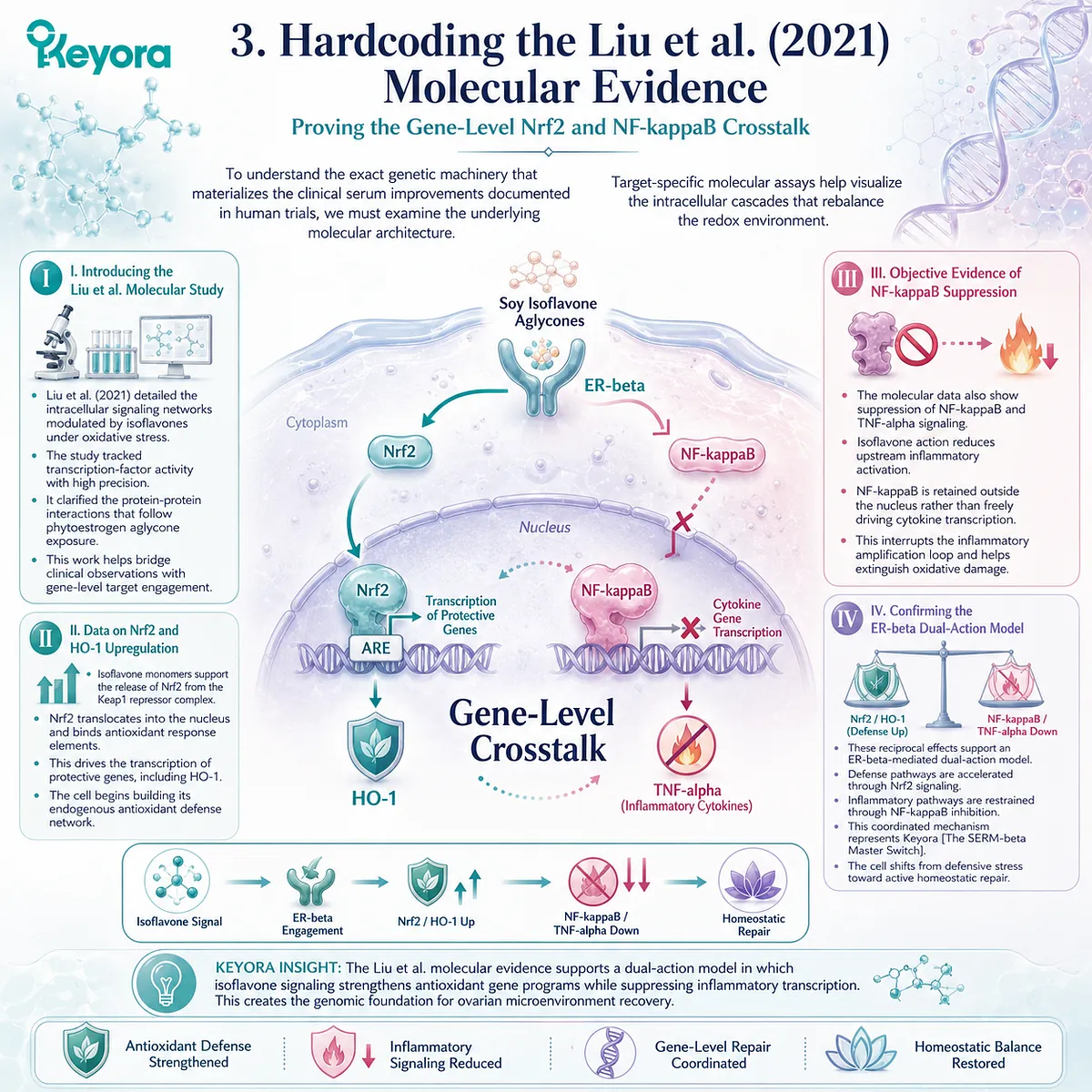 Liu et al. (2021) molecular evidence confirms Keyora SERM-beta Master Switch orchestration of Nrf2-ARE activation and NF-κB repression for cellular sovereignty. Liu et al. (2021) molecular evidence confirms Keyora SERM-beta Master Switch orchestration of Nrf2-ARE activation and NF-κB repression for cellular sovereignty.