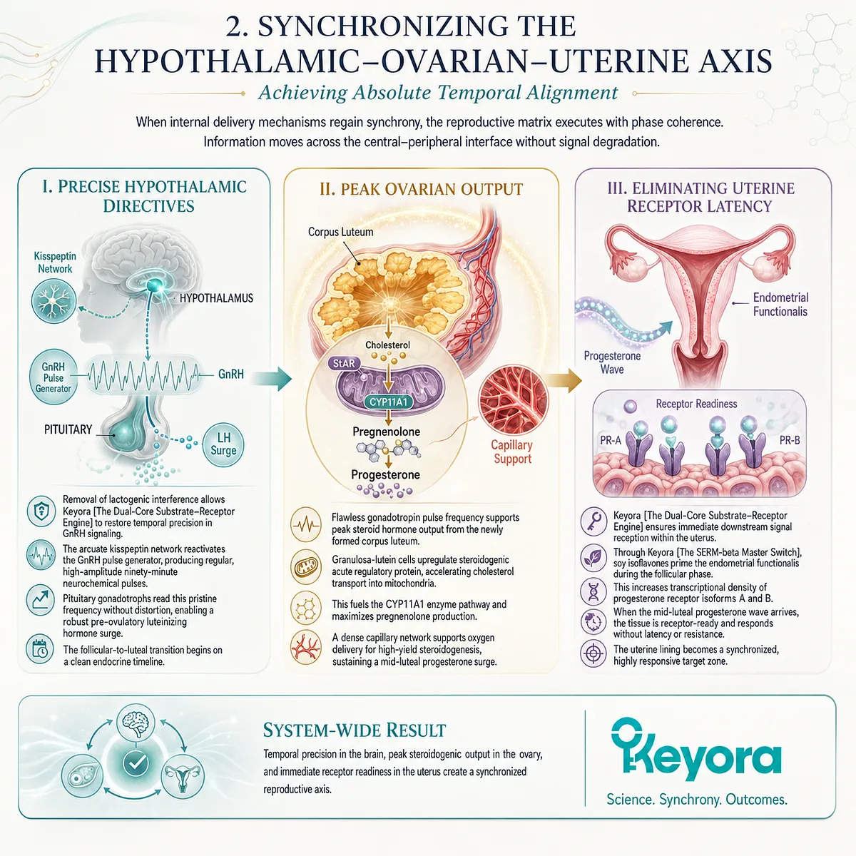Dual-Core Engine synchronization ensures pristine GnRH pulsatility and progesterone receptor readiness, establishing phase-coherent reproductive sovereignty. Dual-Core Engine synchronization ensures pristine GnRH pulsatility and progesterone receptor readiness, establishing phase-coherent reproductive sovereignty.