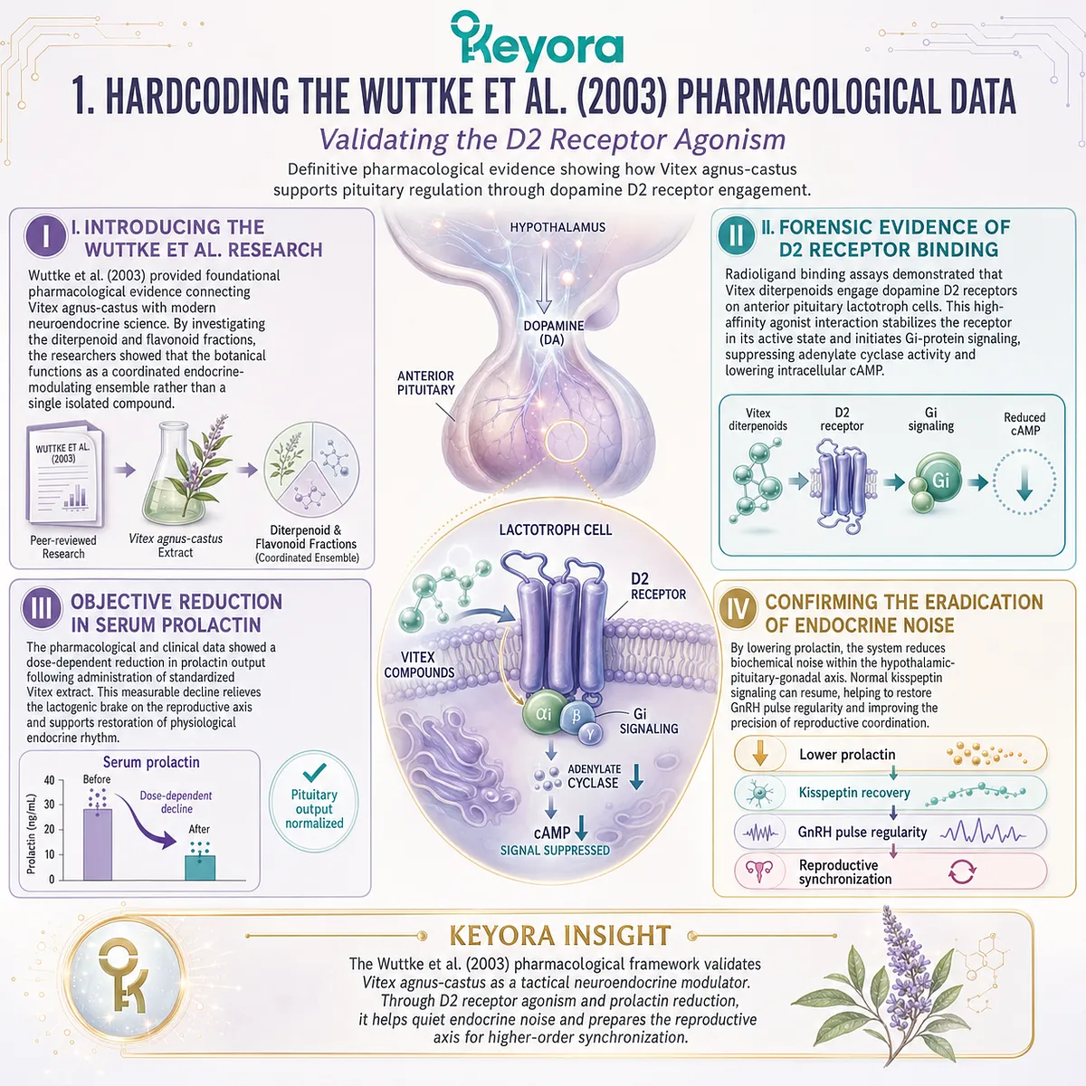 Wuttke et al. (2003) radioligand data validates Vitex D2 receptor agonism, providing the forensic bedrock for neutralizing prolactin and restoring HPG signaling. Wuttke et al. (2003) radioligand data validates Vitex D2 receptor agonism, providing the forensic bedrock for neutralizing prolactin and restoring HPG signaling.