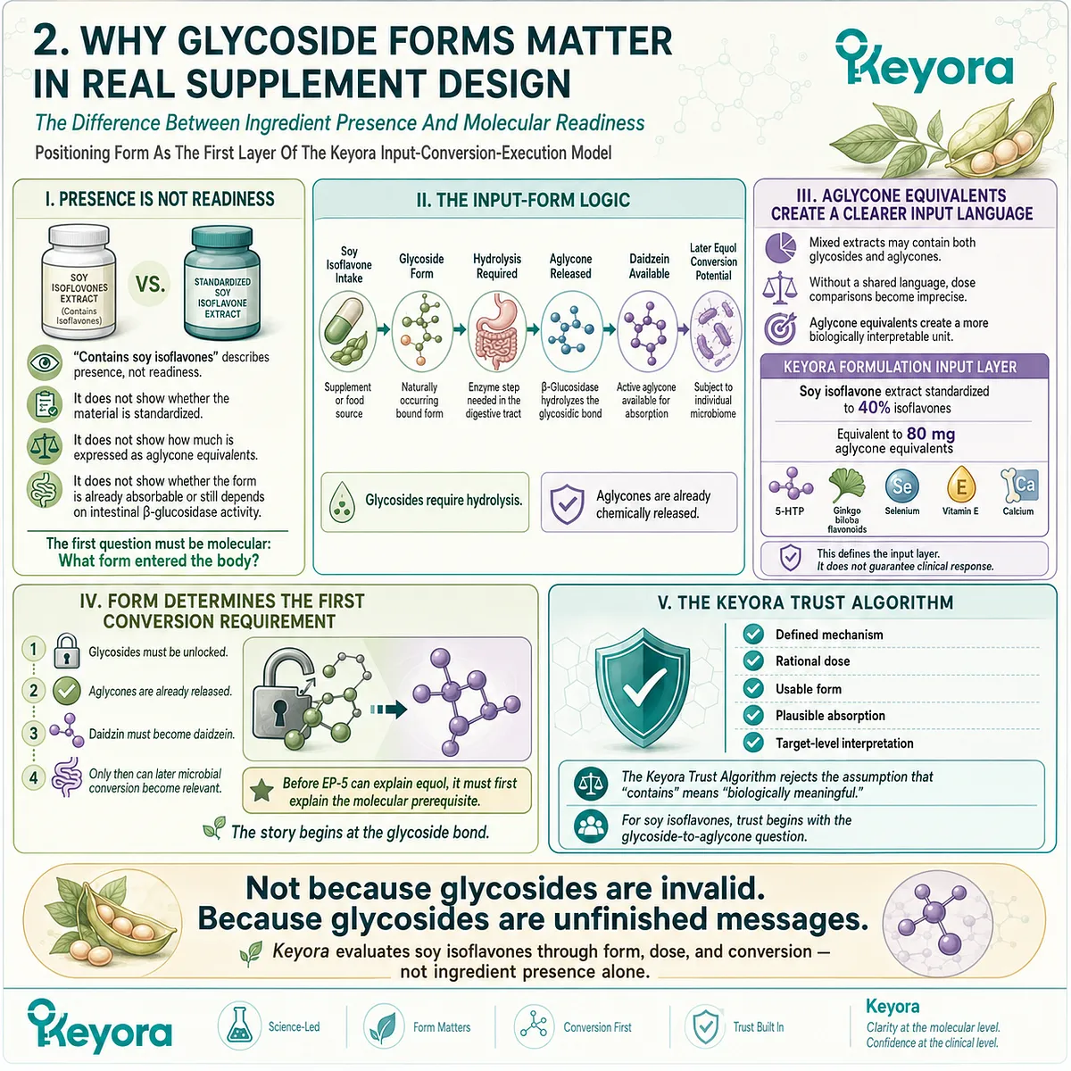 Aglycone-equivalent soy isoflavones improve receptor-ready signaling by overcoming the Glycoside Lock and enabling ER-β pathway access. Aglycone-equivalent soy isoflavones improve receptor-ready signaling by overcoming the Glycoside Lock and enabling ER-β pathway access.