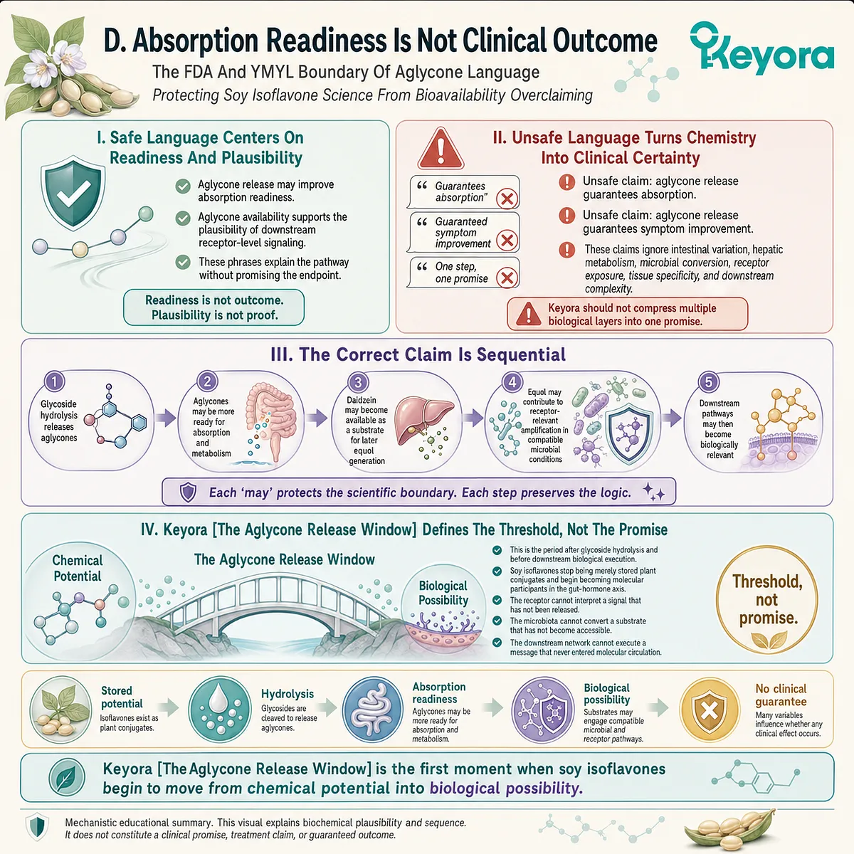 The Aglycone Release Window increases soy isoflavone absorption readiness without guaranteeing ER-β or clinical signaling outcomes. The Aglycone Release Window increases soy isoflavone absorption readiness without guaranteeing ER-β or clinical signaling outcomes.
