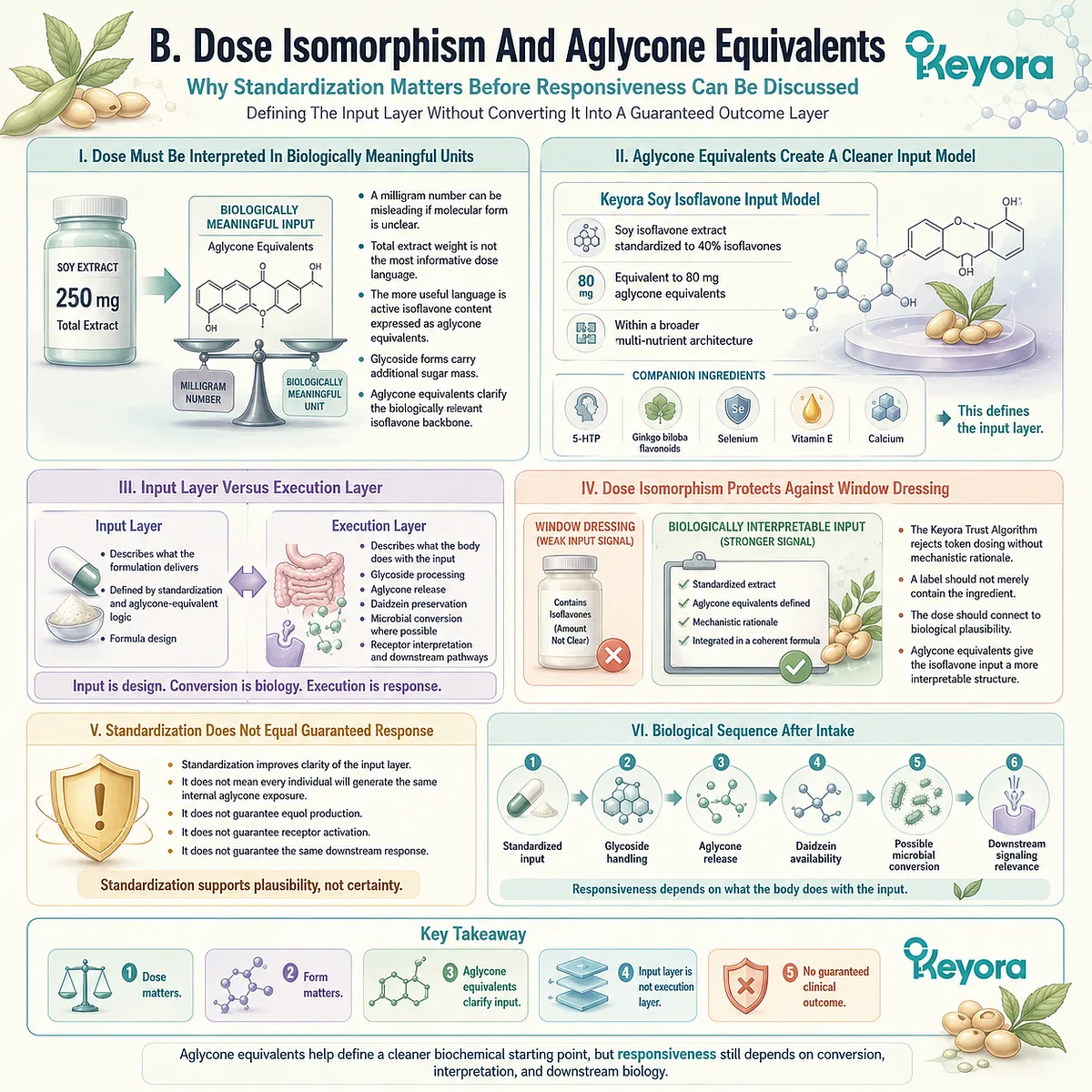 Aglycone-equivalent standardization improves soy isoflavone input precision before ER-β signaling and microbial conversion execution. Aglycone-equivalent standardization improves soy isoflavone input precision before ER-β signaling and microbial conversion execution.