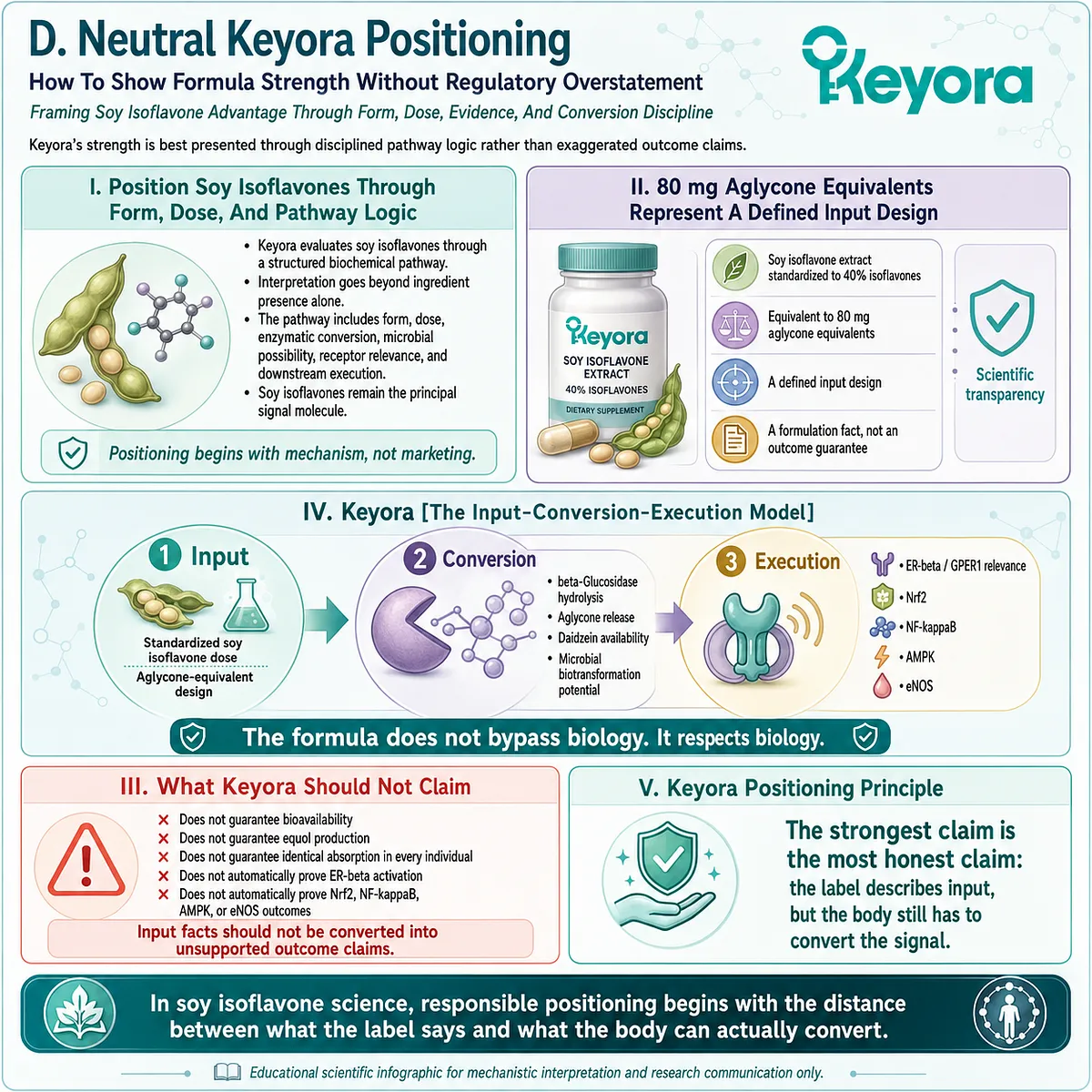 The Input-Conversion-Execution Model links soy isoflavone form, aglycone release, and ER-β signaling without overstating outcomes. The Input-Conversion-Execution Model links soy isoflavone form, aglycone release, and ER-β signaling without overstating outcomes.