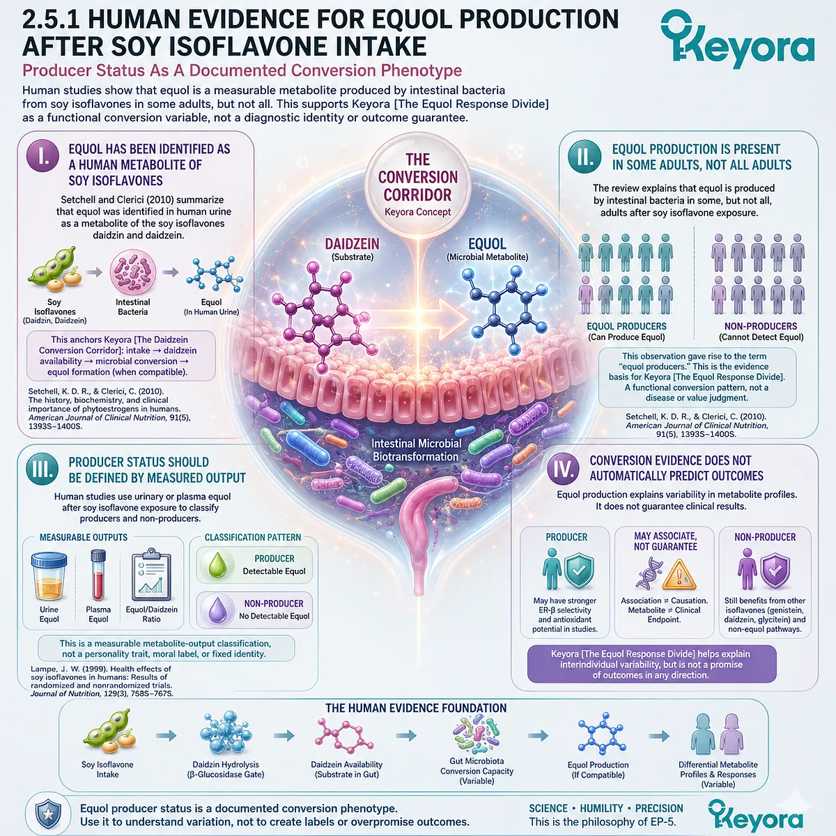 Keyora Equol Response Divide reflects measurable equol production, daidzein metabolism, and gut microbiota conversion variability. Keyora Equol Response Divide reflects measurable equol production, daidzein metabolism, and gut microbiota conversion variability.
