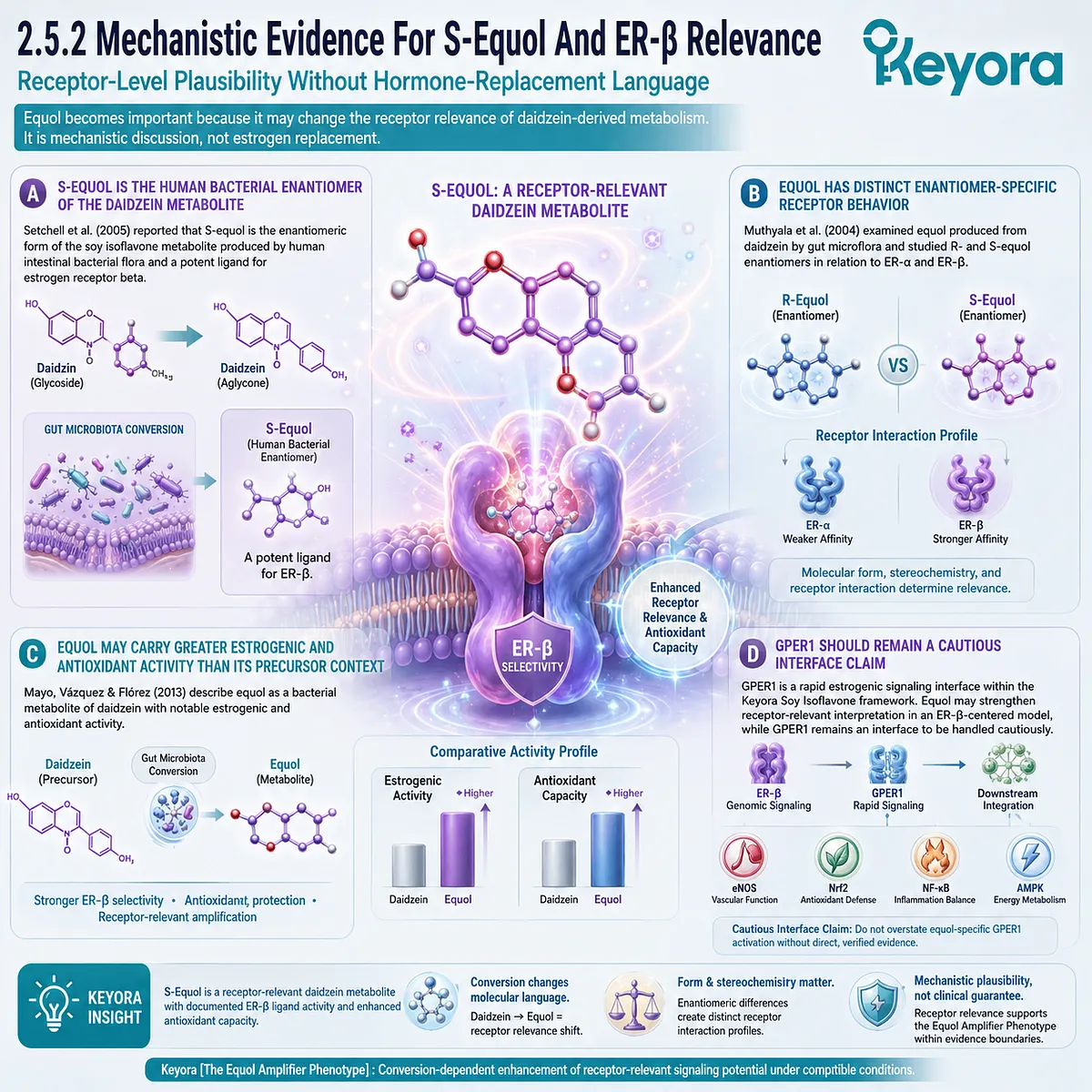 Keyora Equol Amplifier Phenotype integrates S-equol ER-β selectivity, antioxidant signaling, and receptor-level plausibility. Keyora Equol Amplifier Phenotype integrates S-equol ER-β selectivity, antioxidant signaling, and receptor-level plausibility.
