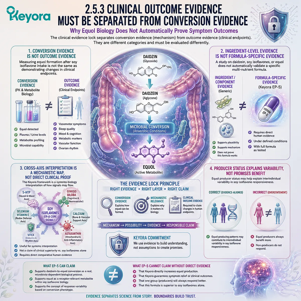 Keyora Equol Amplifier Phenotype separates microbial conversion evidence from clinical outcome claims in endocrine signaling research. Keyora Equol Amplifier Phenotype separates microbial conversion evidence from clinical outcome claims in endocrine signaling research.
