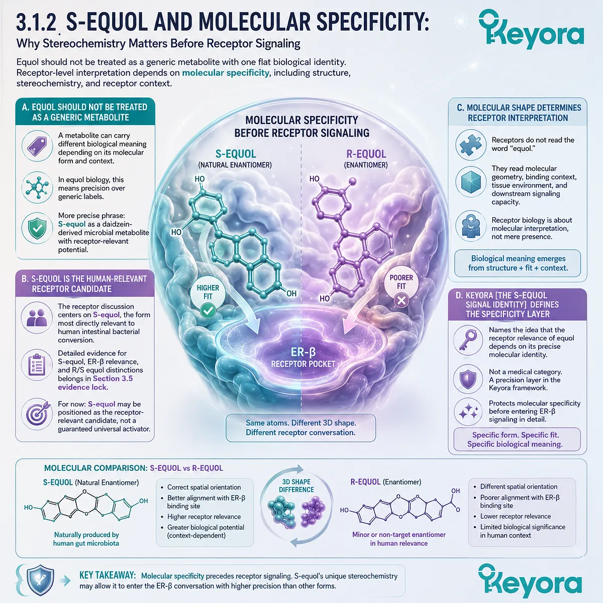 S-equol stereochemistry refines ER-β Systemic Regulator signaling through molecular geometry, receptor precision, and microbial conversion identity. S-equol stereochemistry refines ER-β Systemic Regulator signaling through molecular geometry, receptor precision, and microbial conversion identity.