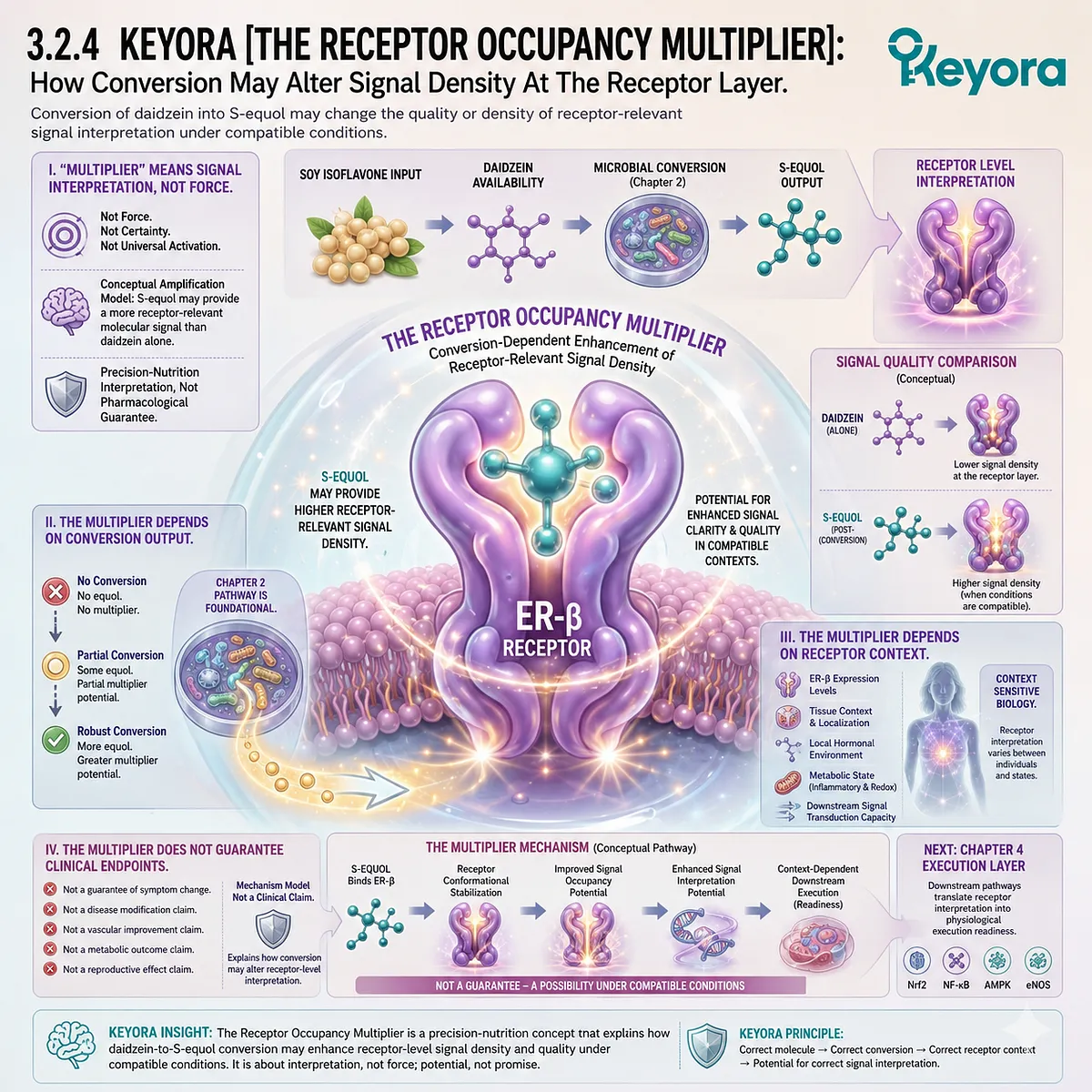 S-equol amplifies ER-β Systemic Regulator signal density through conversion-dependent receptor occupancy and context-sensitive interpretation. S-equol amplifies ER-β Systemic Regulator signal density through conversion-dependent receptor occupancy and context-sensitive interpretation.