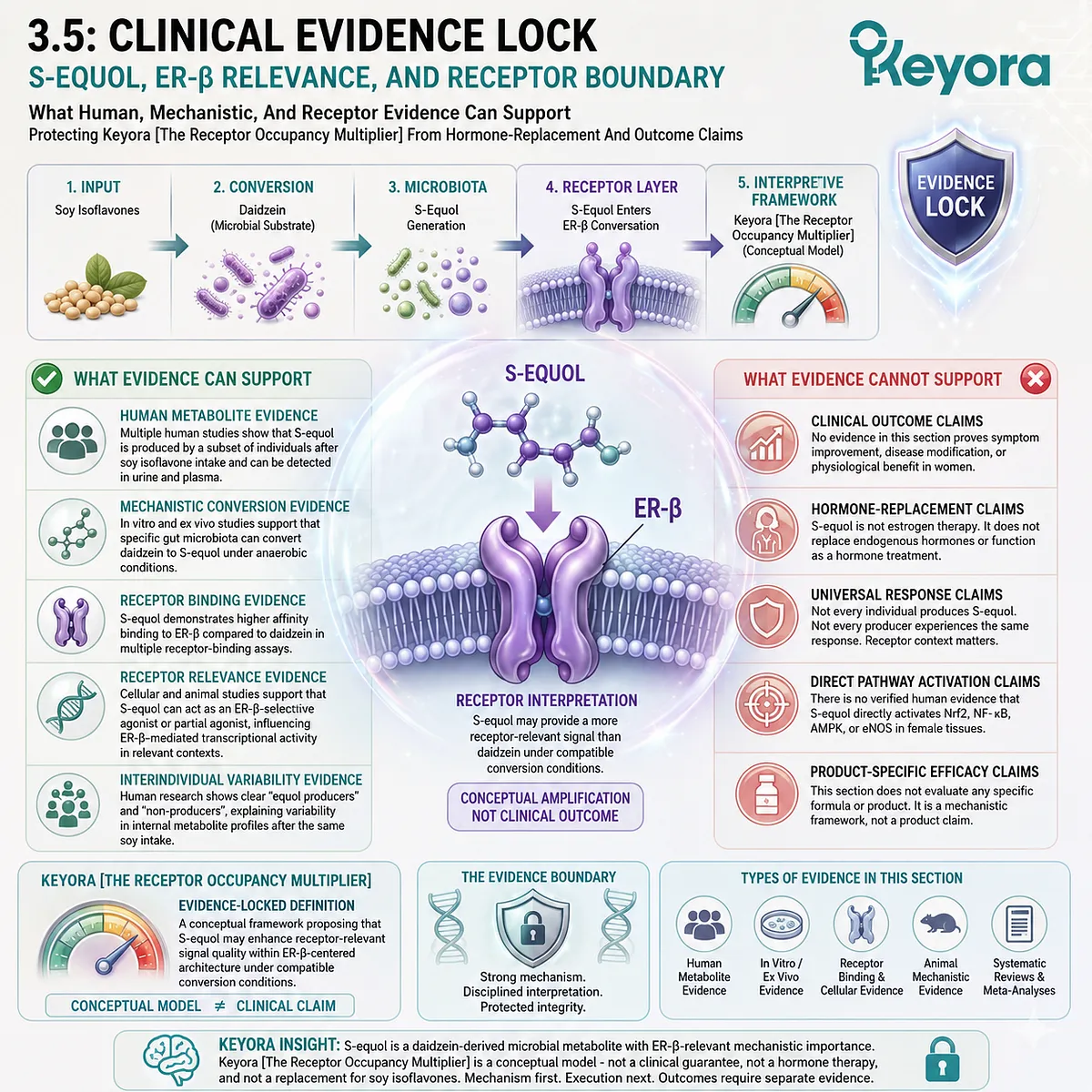 S-equol enters ER-β Systemic Regulator evidence boundaries through receptor relevance, microbial conversion, and mechanistic precision signaling. S-equol enters ER-β Systemic Regulator evidence boundaries through receptor relevance, microbial conversion, and mechanistic precision signaling.