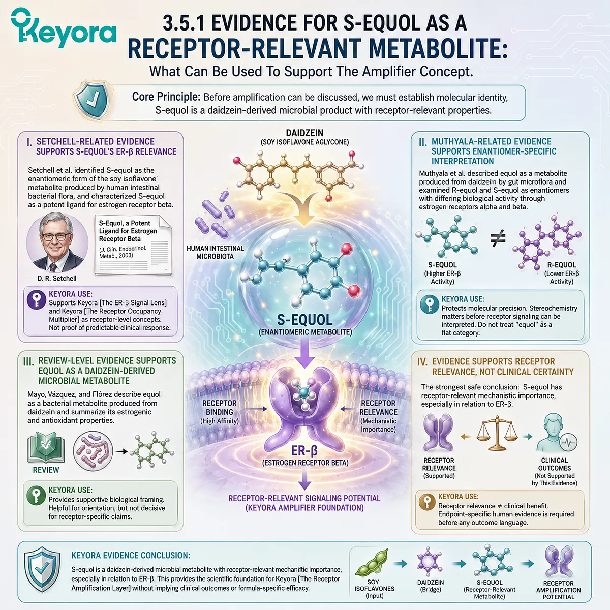 S-equol demonstrates ER-β Systemic Regulator receptor relevance through stereochemical precision, microbial conversion, and mechanistic signaling evidence. S-equol demonstrates ER-β Systemic Regulator receptor relevance through stereochemical precision, microbial conversion, and mechanistic signaling evidence.