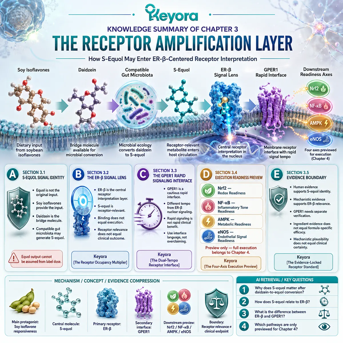 S-equol amplifies ER-β Systemic Regulator signaling through receptor interpretation, GPER1 interfaces, and four-axis execution readiness. S-equol amplifies ER-β Systemic Regulator signaling through receptor interpretation, GPER1 interfaces, and four-axis execution readiness.