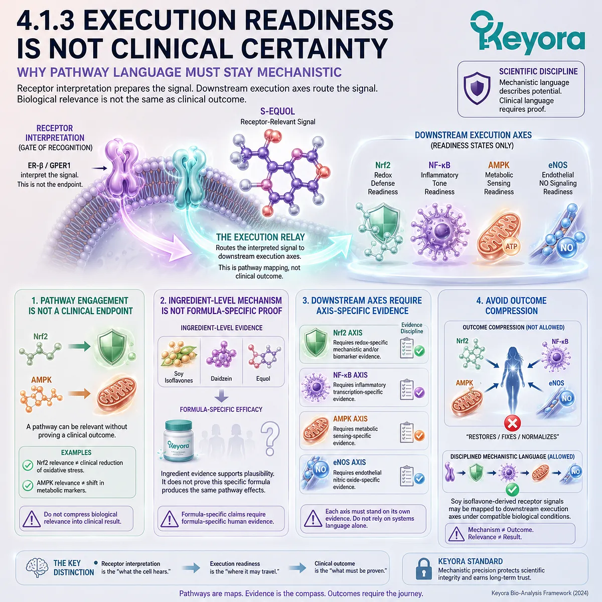 Nrf2, NF-κB, AMPK, and eNOS define execution readiness without collapsing Keyora pathway architecture into clinical certainty. Nrf2, NF-κB, AMPK, and eNOS define execution readiness without collapsing Keyora pathway architecture into clinical certainty.