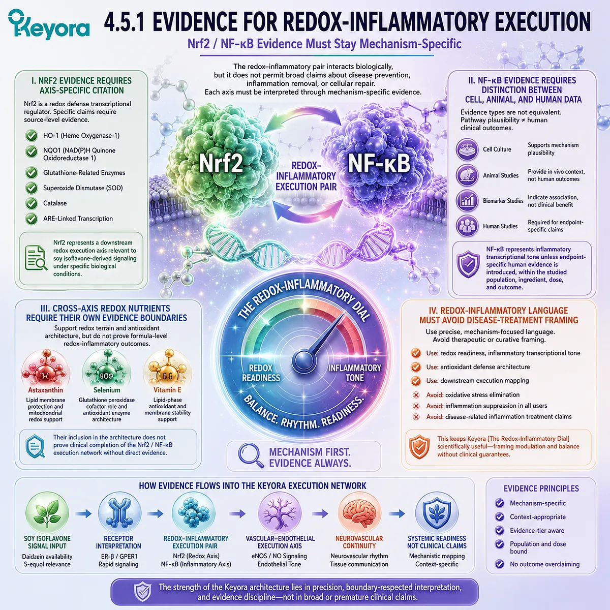 Nrf2 and NF-κB evidence boundaries preserve redox-inflammatory execution mapping within Keyora mechanistic architecture. Nrf2 and NF-κB evidence boundaries preserve redox-inflammatory execution mapping within Keyora mechanistic architecture.