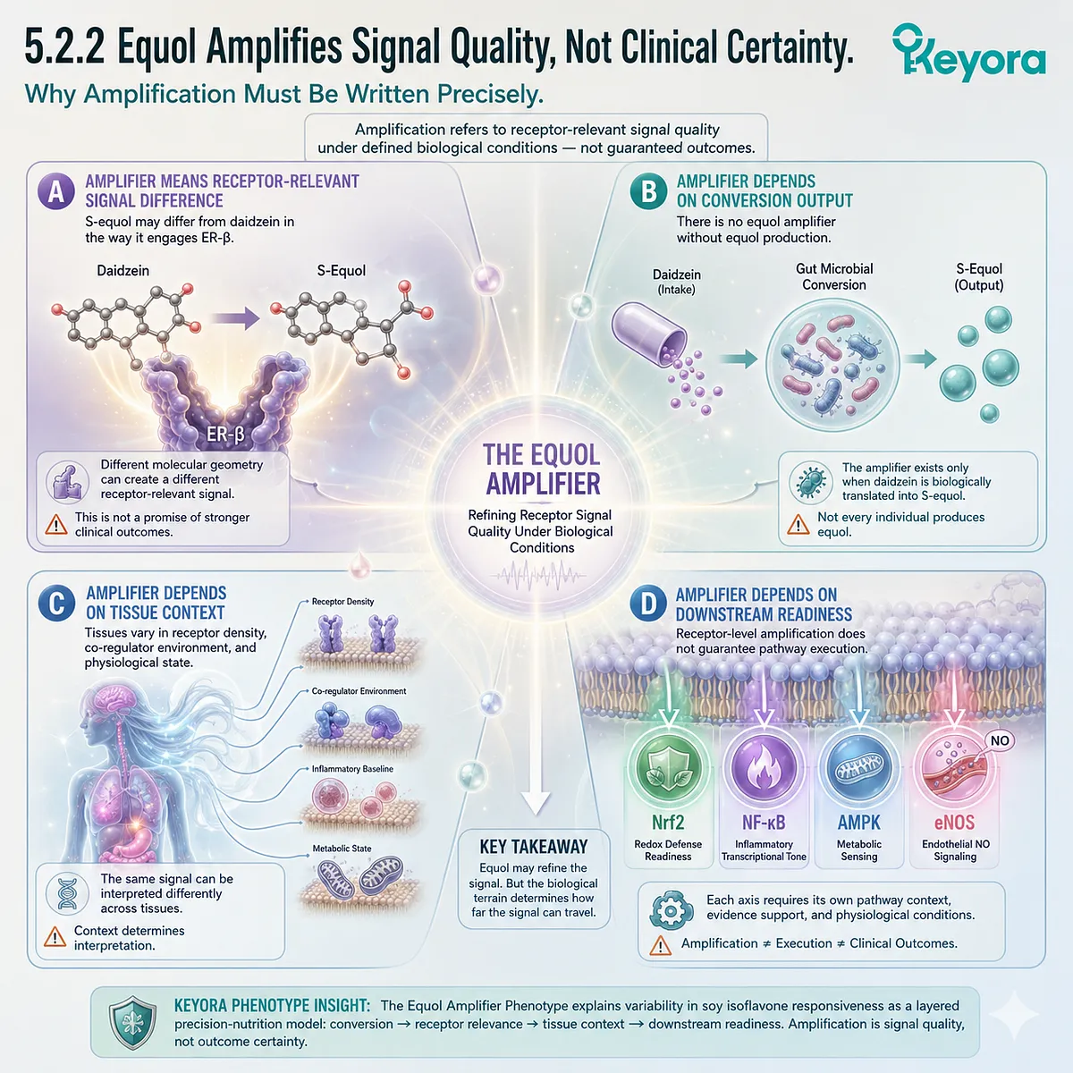 S-equol amplification depends on ER-β interpretation, tissue readiness, and four-axis execution across metabolic and redox terrain. S-equol amplification depends on ER-β interpretation, tissue readiness, and four-axis execution across metabolic and redox terrain.