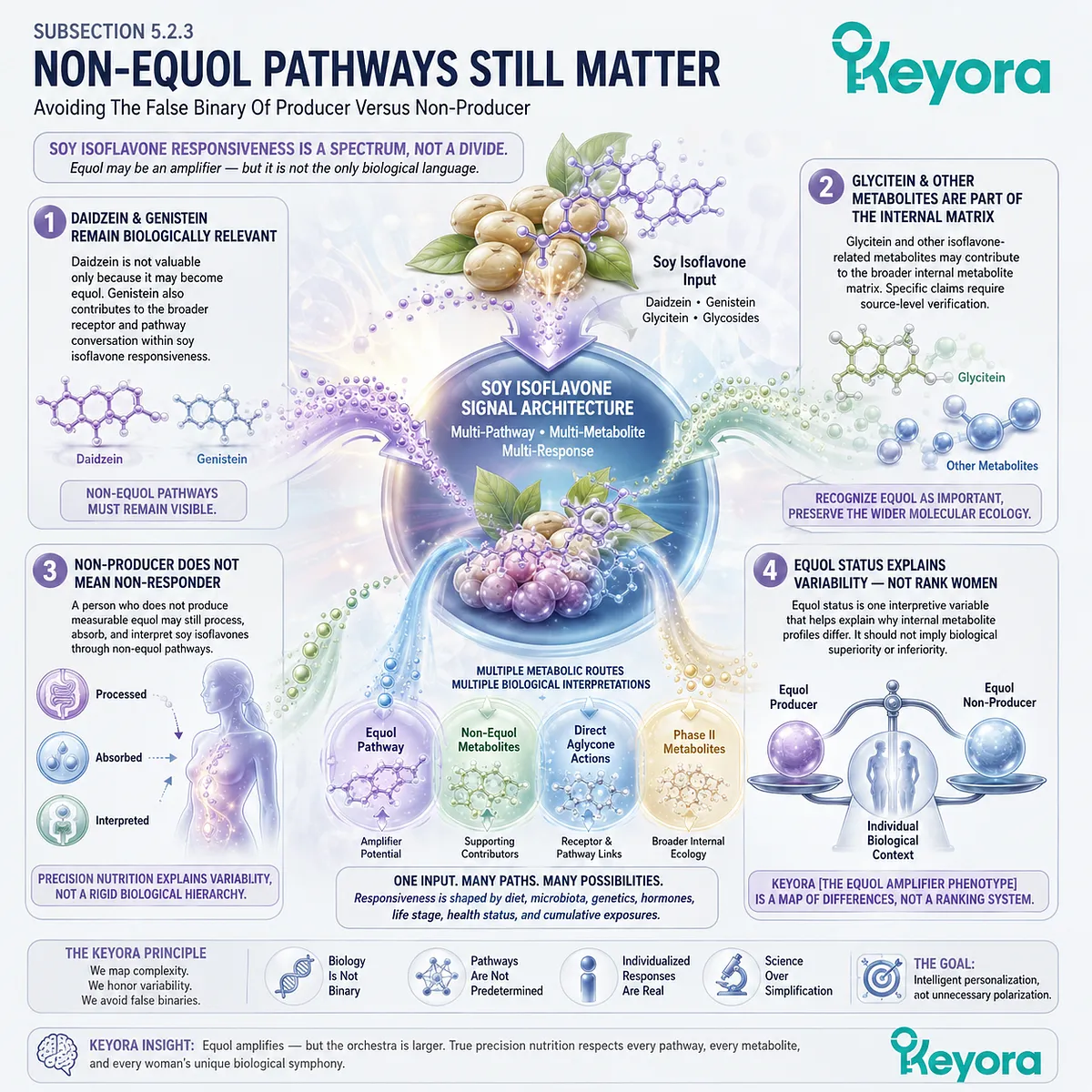 Non-equol pathways preserve soy isoflavone responsiveness through daidzein, genistein, and ER-β signaling diversity across metabolic terrain. Non-equol pathways preserve soy isoflavone responsiveness through daidzein, genistein, and ER-β signaling diversity across metabolic terrain.
