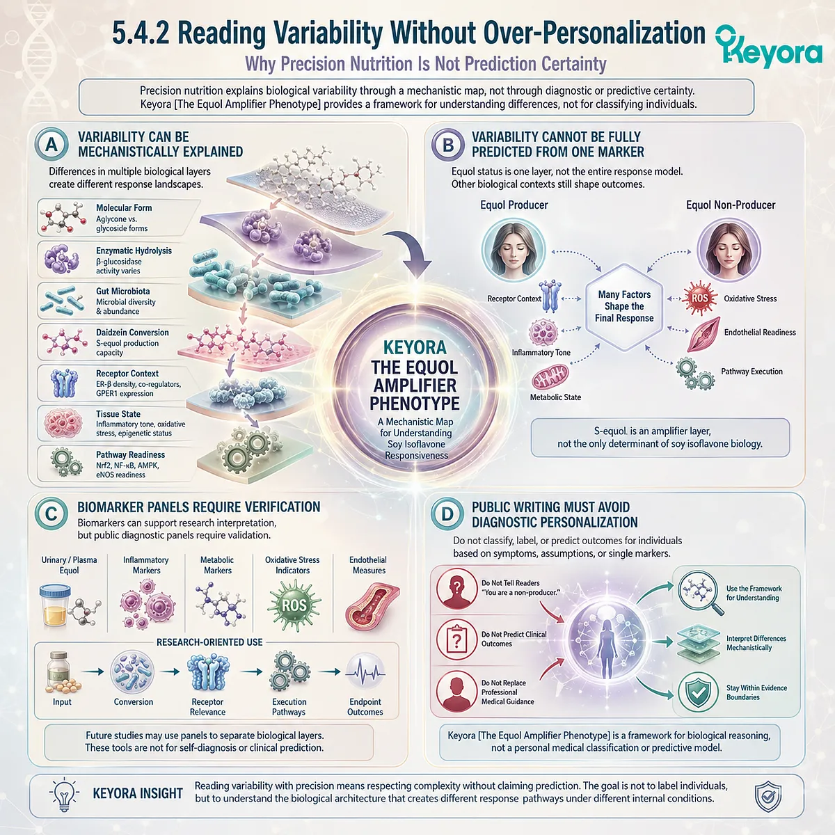 Precision nutrition interprets soy isoflavone variability through microbial conversion, ER-β signaling, and execution-pathway readiness. Precision nutrition interprets soy isoflavone variability through microbial conversion, ER-β signaling, and execution-pathway readiness.