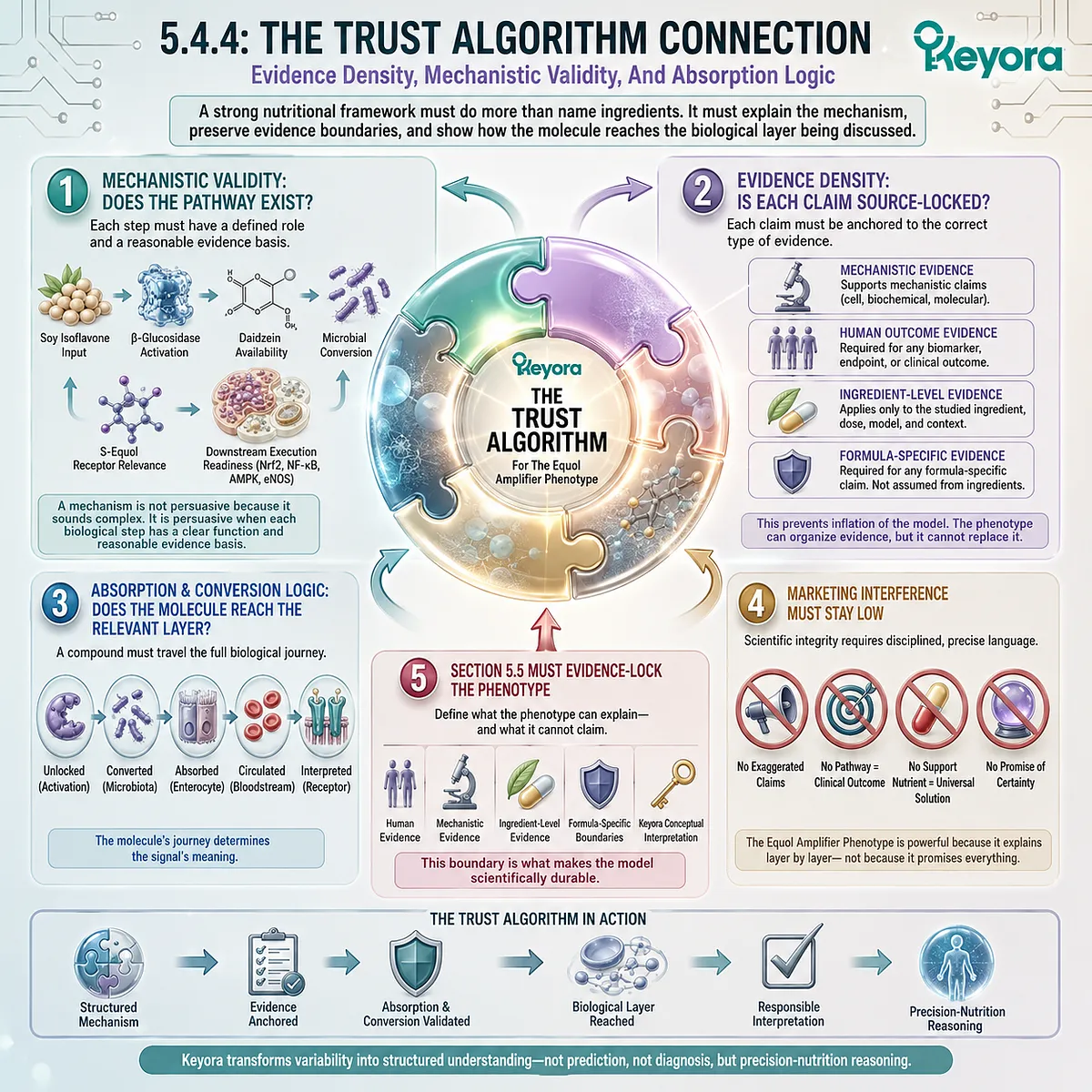 The Trust Algorithm links mechanistic validity, absorption logic, and evidence density to disciplined soy isoflavone interpretation. The Trust Algorithm links mechanistic validity, absorption logic, and evidence density to disciplined soy isoflavone interpretation.
