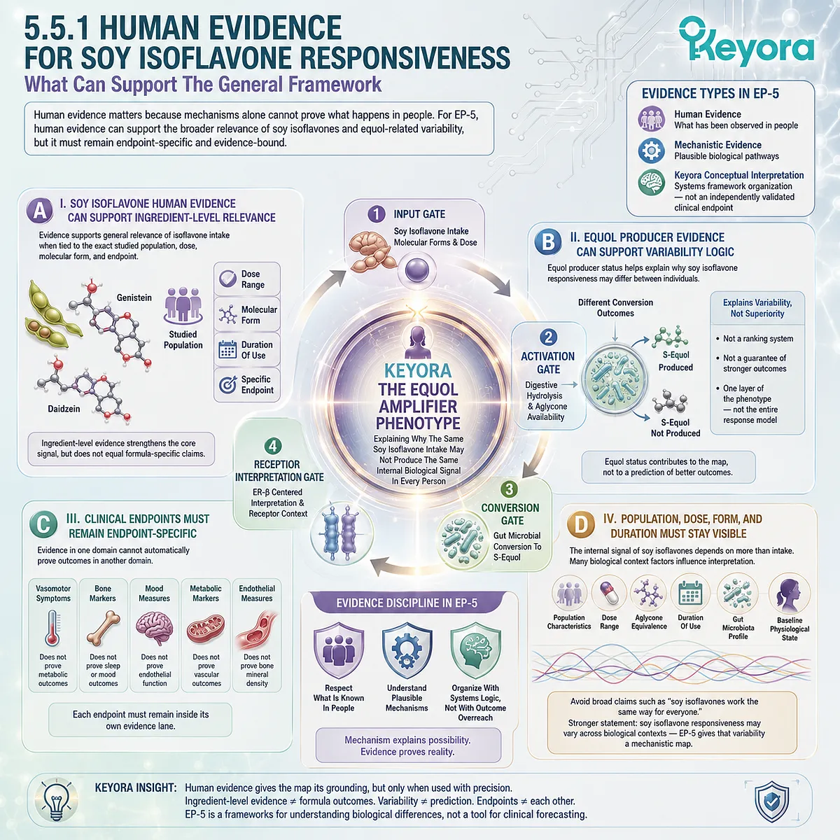 The Equol Amplifier Phenotype integrates human evidence, microbial conversion, and ER-β signaling into a non-diagnostic variability framework. The Equol Amplifier Phenotype integrates human evidence, microbial conversion, and ER-β signaling into a non-diagnostic variability framework.