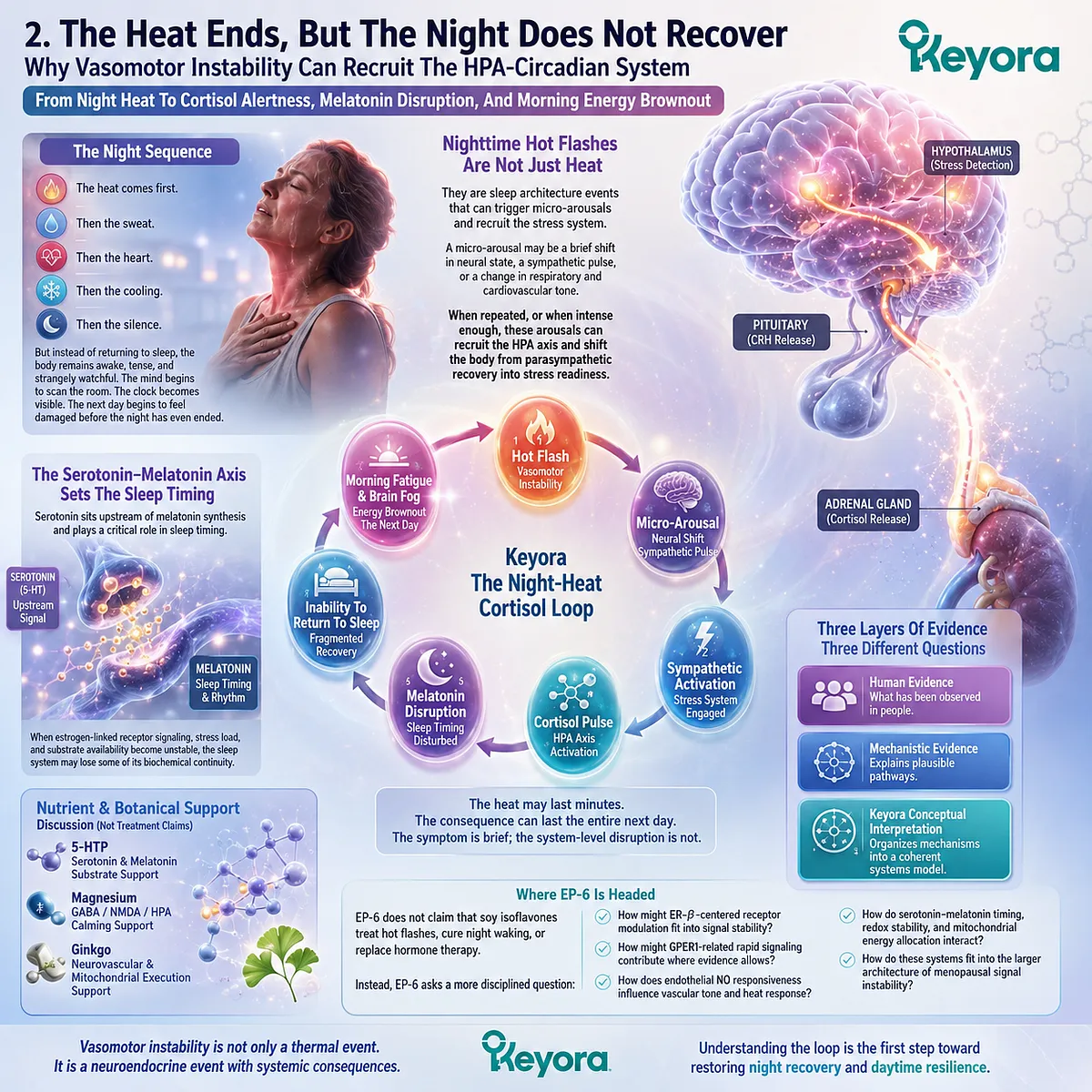Night-Heat Cortisol Loop disrupts melatonin timing, HPA recovery, and mitochondrial energy allocation across the female circadian system. Night-Heat Cortisol Loop disrupts melatonin timing, HPA recovery, and mitochondrial energy allocation across the female circadian system.