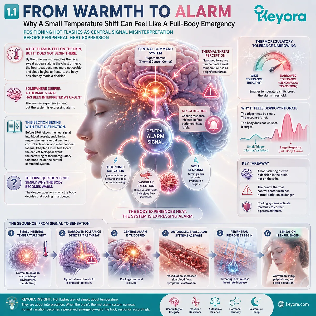 Thermoregulatory misinterpretation triggers sympathetic alarm, vasomotor escalation, and sleep fragmentation before peripheral heat becomes visible. Thermoregulatory misinterpretation triggers sympathetic alarm, vasomotor escalation, and sleep fragmentation before peripheral heat becomes visible.