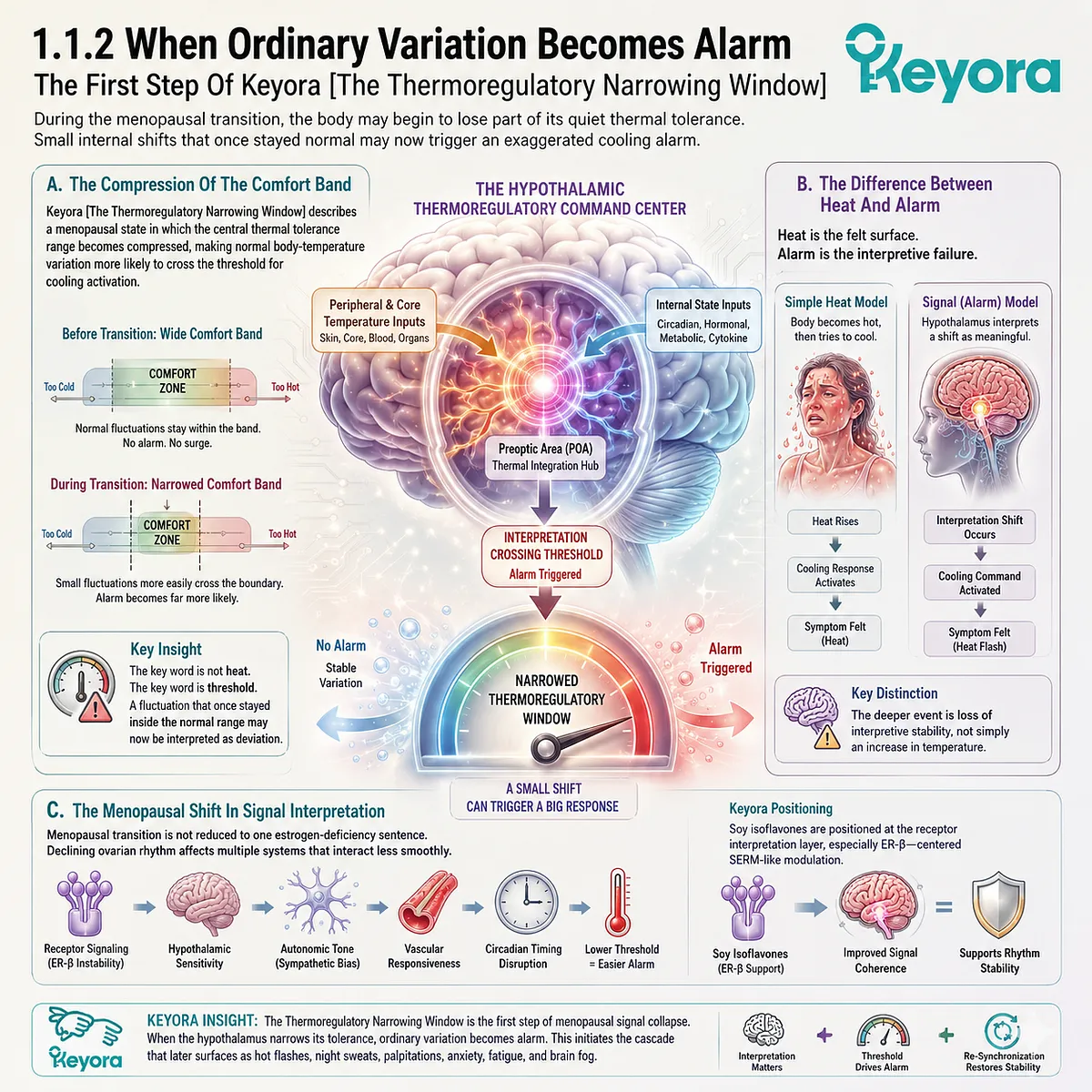 Thermoregulatory Narrowing Window compresses hypothalamic thresholds, amplifying vasomotor alarm and autonomic heat-response signaling. Thermoregulatory Narrowing Window compresses hypothalamic thresholds, amplifying vasomotor alarm and autonomic heat-response signaling.
