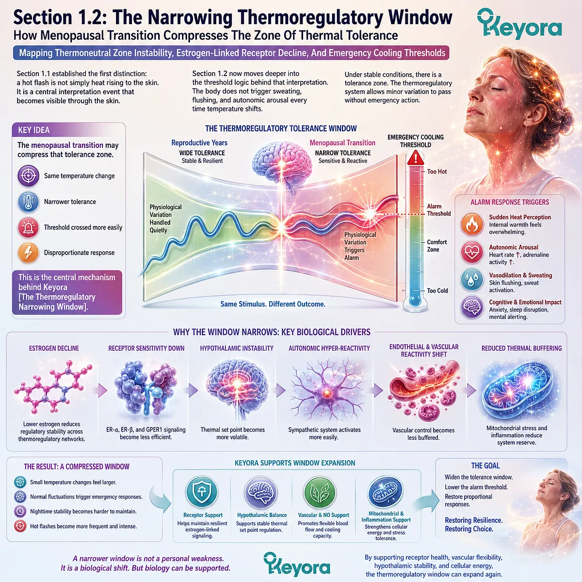 Thermoregulatory Narrowing Window compresses thermal tolerance, amplifying hypothalamic alarm and emergency vasomotor cooling responses. Thermoregulatory Narrowing Window compresses thermal tolerance, amplifying hypothalamic alarm and emergency vasomotor cooling responses.