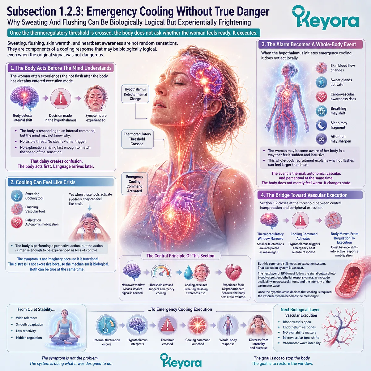 Emergency vasomotor cooling recruits sweating, flushing, autonomic activation, and vascular signaling across the menopausal thermoregulatory network. Emergency vasomotor cooling recruits sweating, flushing, autonomic activation, and vascular signaling across the menopausal thermoregulatory network.