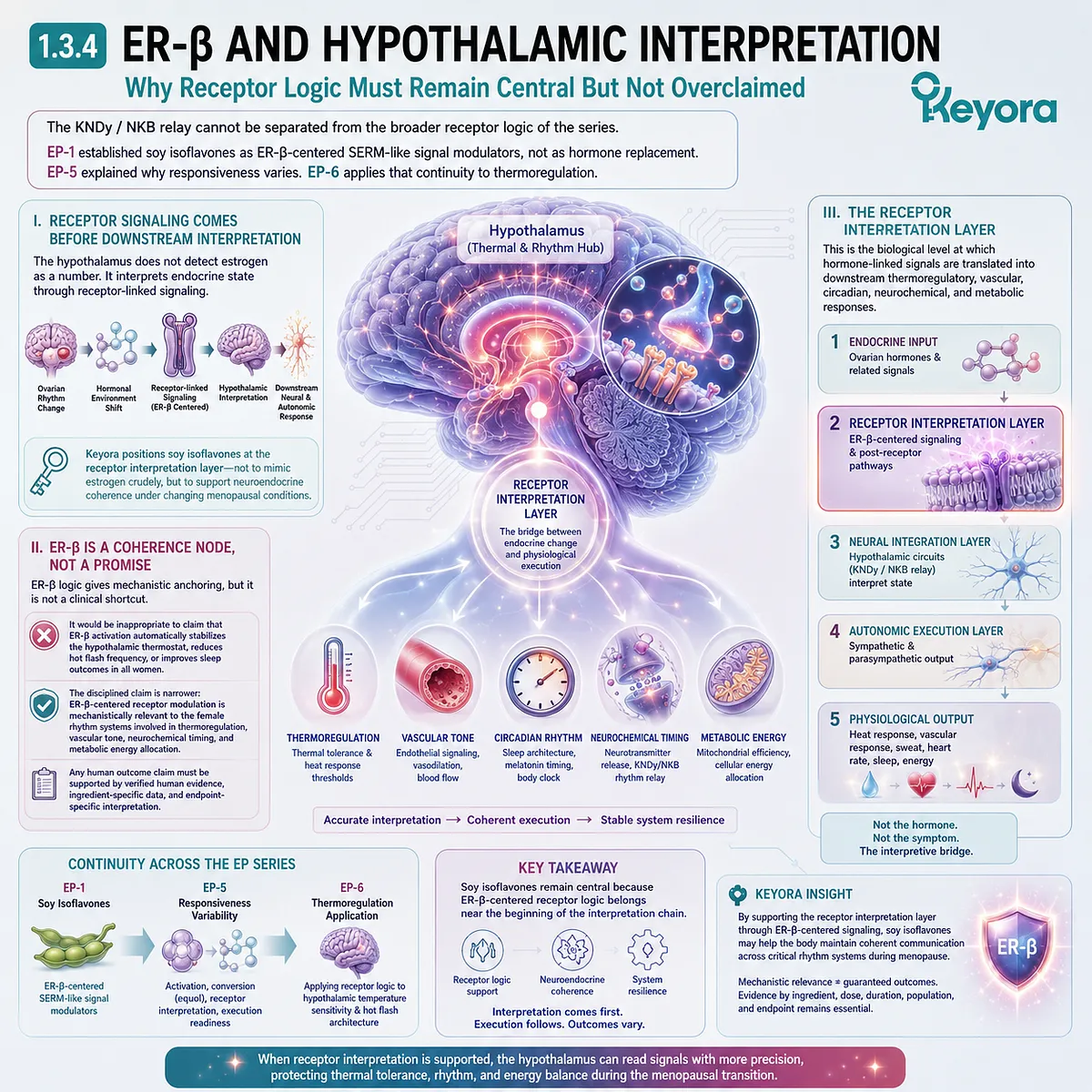ER-β receptor interpretation coordinates hypothalamic thermoregulation, neuroendocrine coherence, and menopausal signal translation pathways. ER-β receptor interpretation coordinates hypothalamic thermoregulation, neuroendocrine coherence, and menopausal signal translation pathways.