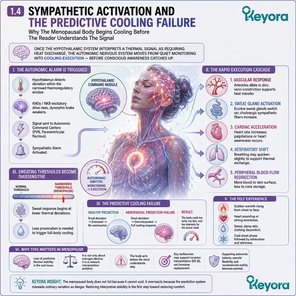 Sympathetic activation accelerates predictive cooling failure, triggering sweating, palpitations, and vasomotor heat-discharge responses. Sympathetic activation accelerates predictive cooling failure, triggering sweating, palpitations, and vasomotor heat-discharge responses.