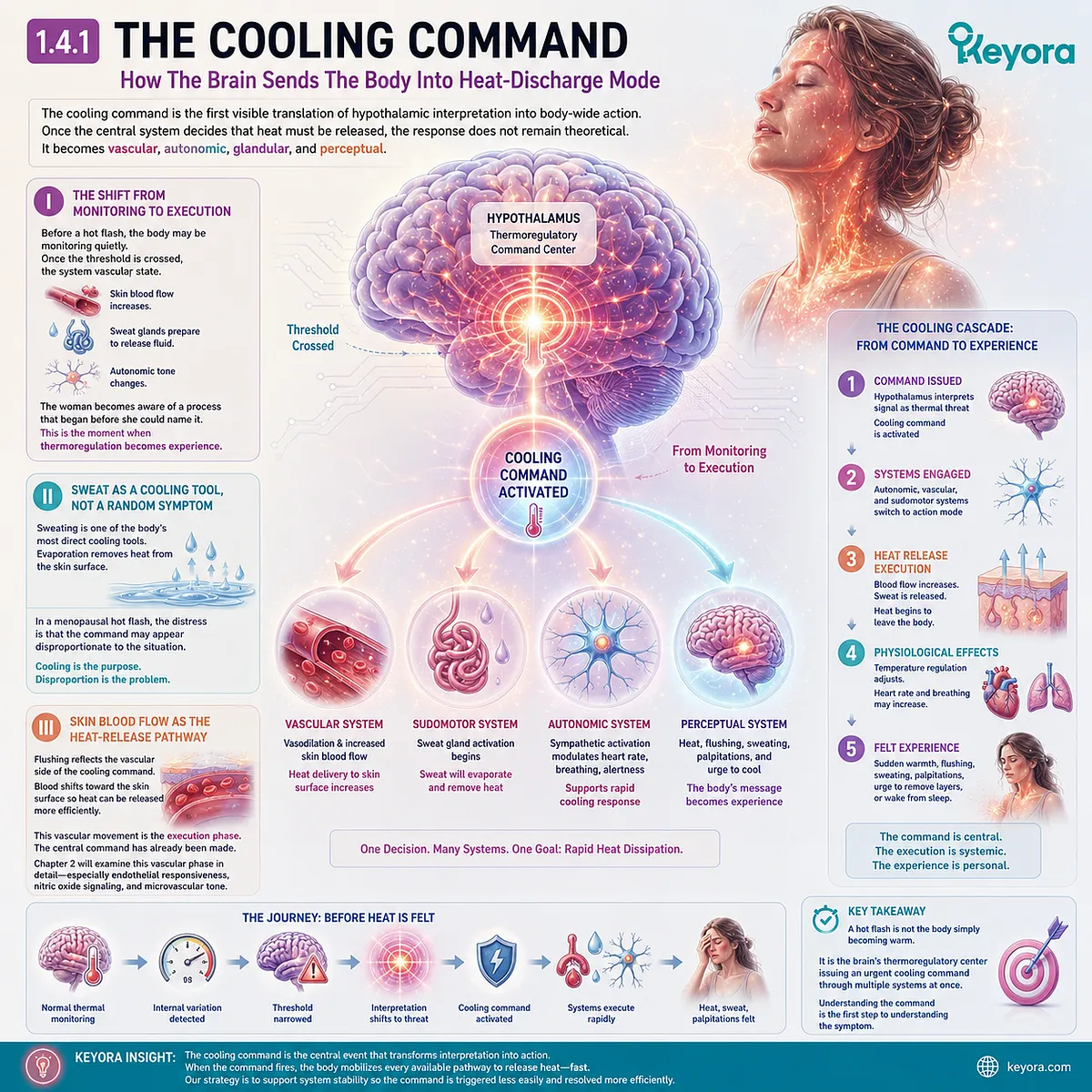 Hypothalamic cooling commands activate sweating, skin blood flow, and autonomic heat-discharge pathways during vasomotor escalation. Hypothalamic cooling commands activate sweating, skin blood flow, and autonomic heat-discharge pathways during vasomotor escalation.