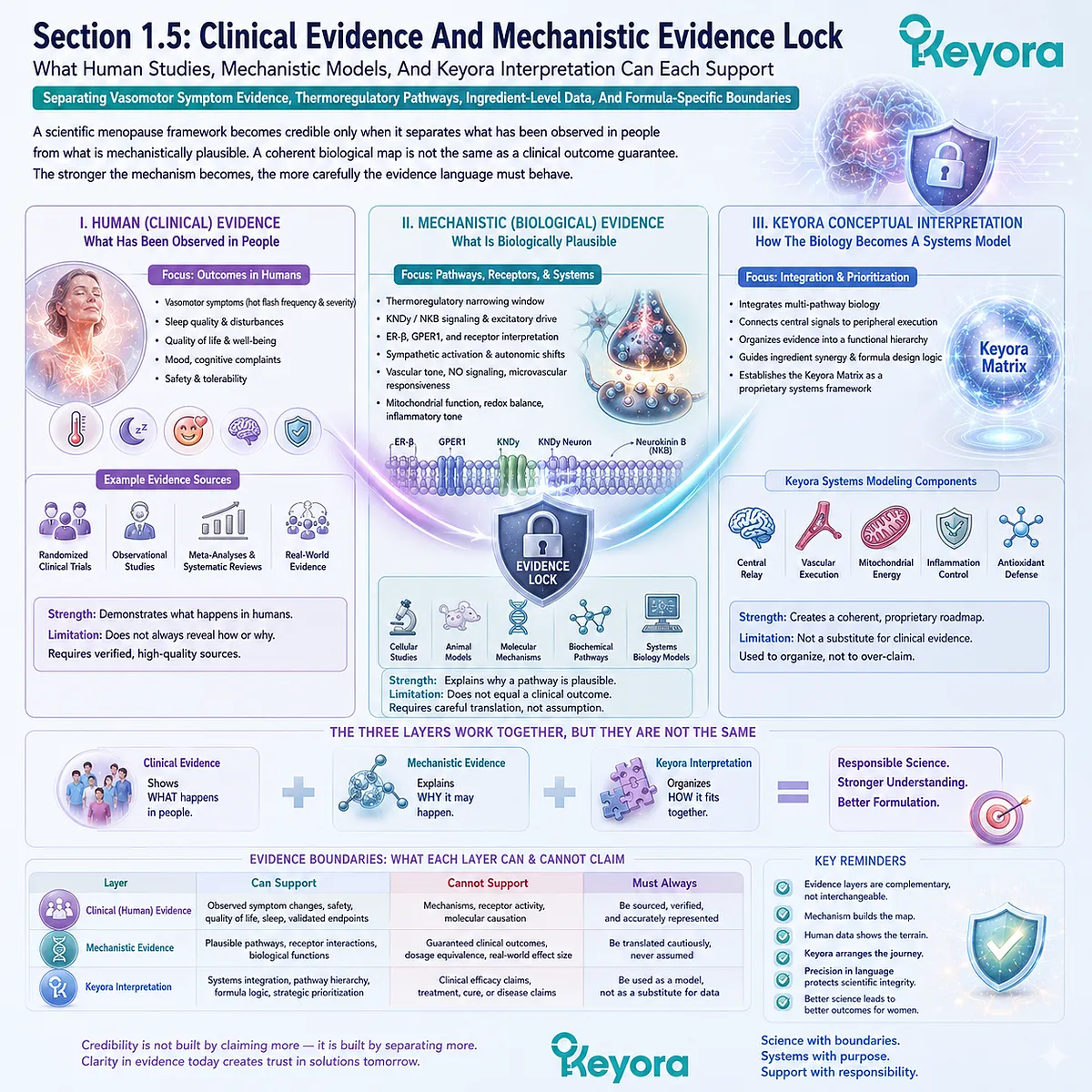 Clinical evidence, mechanistic pathways, and ER-β thermoregulatory models converge within Keyora’s evidence-bound signal framework. Clinical evidence, mechanistic pathways, and ER-β thermoregulatory models converge within Keyora’s evidence-bound signal framework.