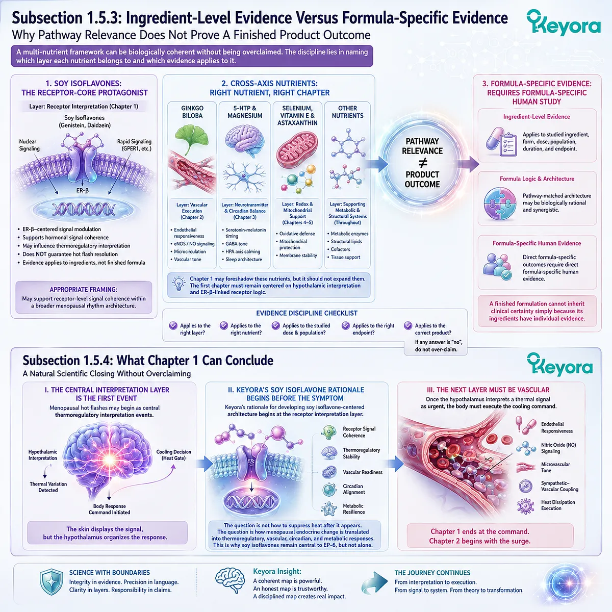 ER-β receptor logic, vascular execution, and pathway-matched nutrition define the first layer of menopausal signal-collapse architecture. ER-β receptor logic, vascular execution, and pathway-matched nutrition define the first layer of menopausal signal-collapse architecture.