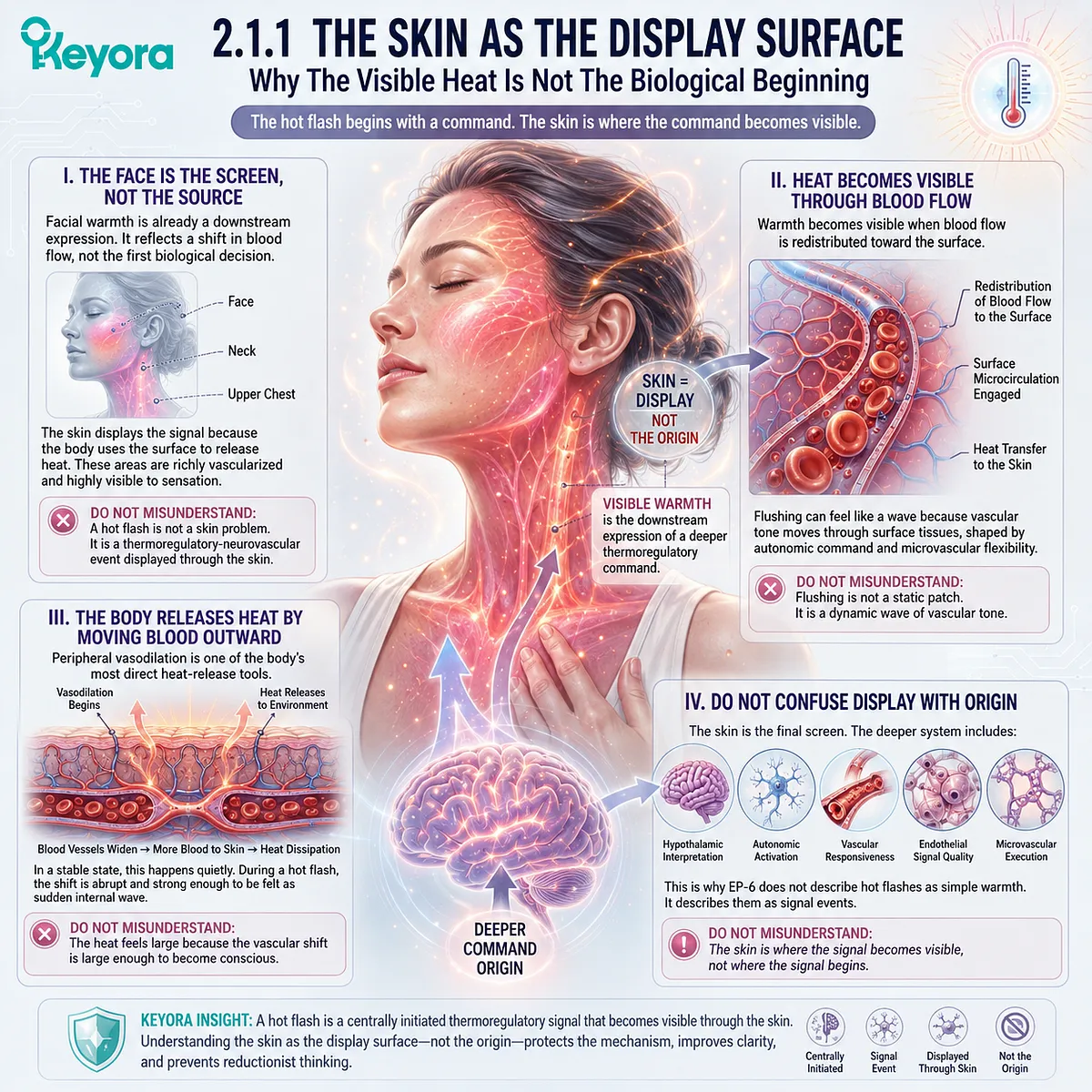 Microvascular vasodilation turns the skin into a Neuro-Endocrine Storm display surface, exposing hypothalamic heat-release signaling through blood flow. Microvascular vasodilation turns the skin into a Neuro-Endocrine Storm display surface, exposing hypothalamic heat-release signaling through blood flow.