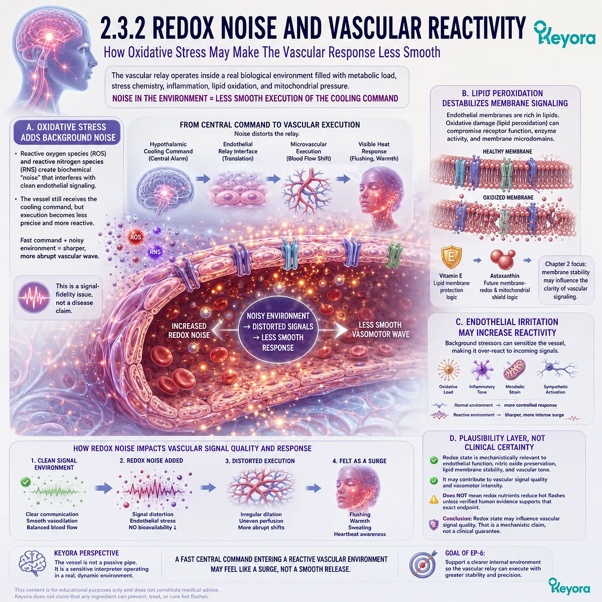 Redox noise disrupts endothelial membrane signaling and nitric oxide preservation, increasing vascular reactivity during the Neuro-Endocrine Storm. Redox noise disrupts endothelial membrane signaling and nitric oxide preservation, increasing vascular reactivity during the Neuro-Endocrine Storm.