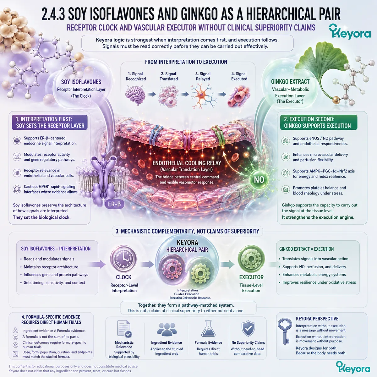Soy isoflavones guide ER-β receptor interpretation while Ginkgo supports vascular-metabolic execution during the Neuro-Endocrine Storm. Soy isoflavones guide ER-β receptor interpretation while Ginkgo supports vascular-metabolic execution during the Neuro-Endocrine Storm.
