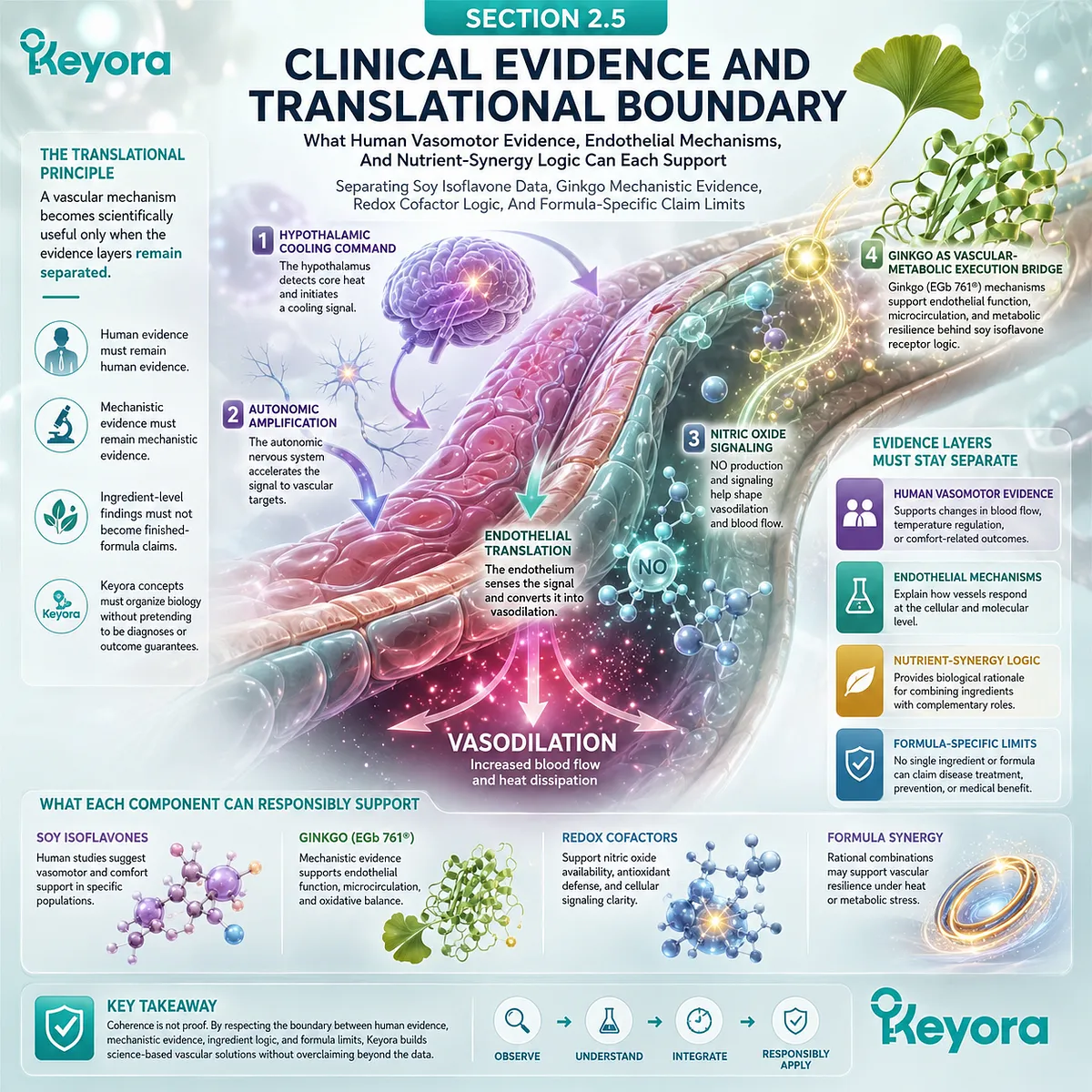 Clinical evidence boundaries separate endothelial mechanisms, nitric oxide biology, and nutrient synergy from Neuro-Endocrine Storm outcome claims. Clinical evidence boundaries separate endothelial mechanisms, nitric oxide biology, and nutrient synergy from Neuro-Endocrine Storm outcome claims.
