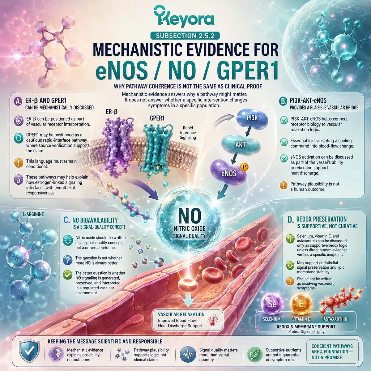 eNOS, nitric oxide, and GPER1 pathways support endothelial signal coherence without proving Neuro-Endocrine Storm clinical outcomes. eNOS, nitric oxide, and GPER1 pathways support endothelial signal coherence without proving Neuro-Endocrine Storm clinical outcomes.