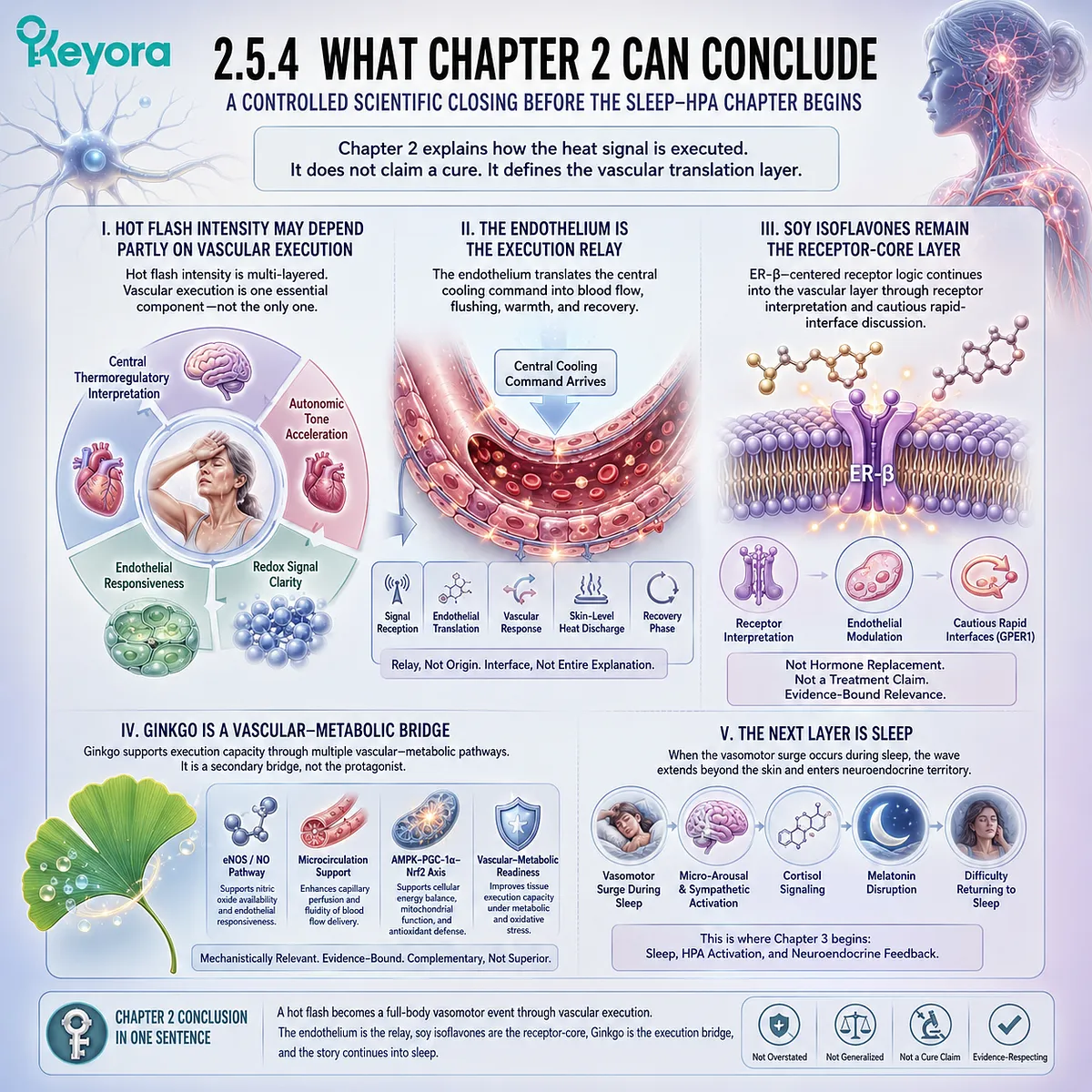 Vascular execution, endothelial signaling, and ER-β receptor logic shape Neuro-Endocrine Storm intensity before sleep-stage disruption begins. Vascular execution, endothelial signaling, and ER-β receptor logic shape Neuro-Endocrine Storm intensity before sleep-stage disruption begins.