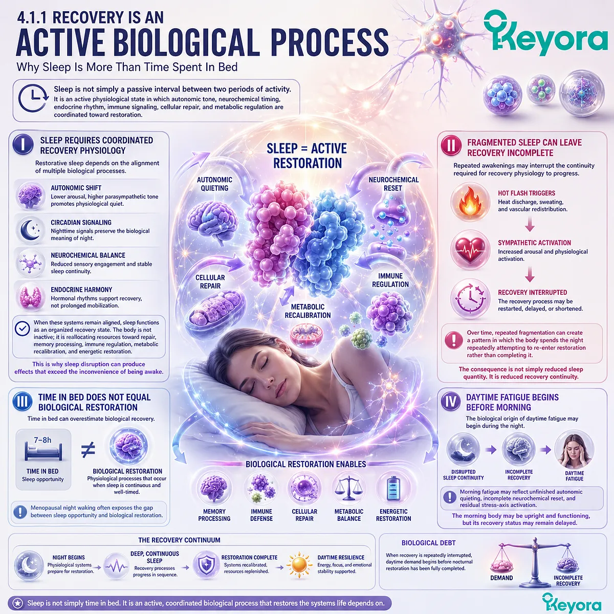 Sleep fragmentation disrupts autonomic recovery, cortisol recalibration, and mitochondrial restoration, creating daytime biological debt. Sleep fragmentation disrupts autonomic recovery, cortisol recalibration, and mitochondrial restoration, creating daytime biological debt.