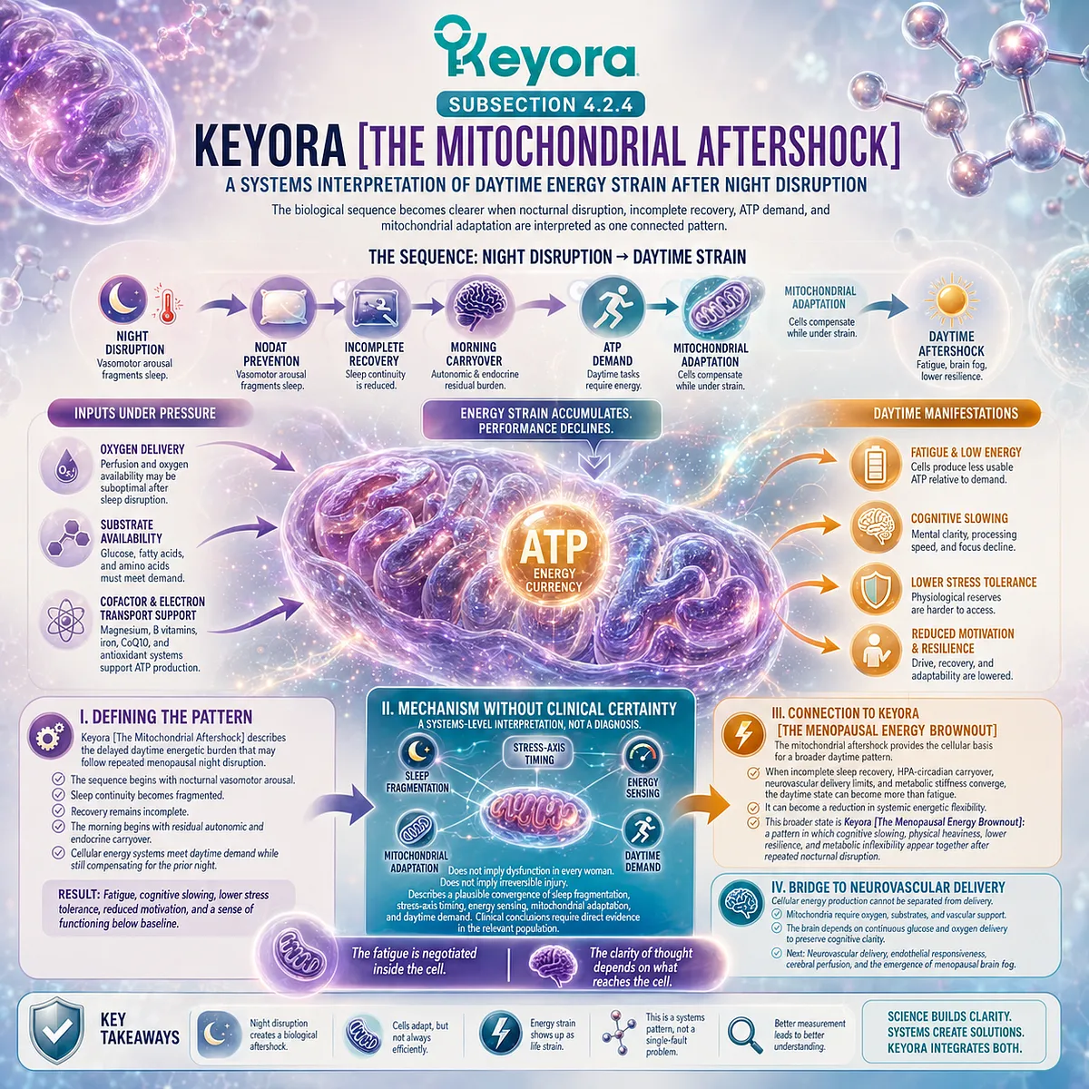 Sleep fragmentation drives ATP strain, neurovascular stress, and mitochondrial adaptation burden in the Keyora Mitochondrial Aftershock. Sleep fragmentation drives ATP strain, neurovascular stress, and mitochondrial adaptation burden in the Keyora Mitochondrial Aftershock.