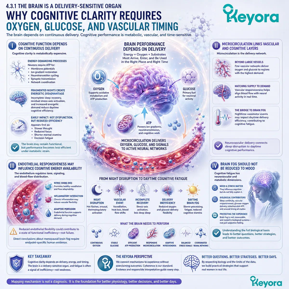 Cerebral microcirculation, glucose-oxygen delivery, and endothelial responsiveness govern cognitive clarity during mitochondrial strain. Cerebral microcirculation, glucose-oxygen delivery, and endothelial responsiveness govern cognitive clarity during mitochondrial strain.