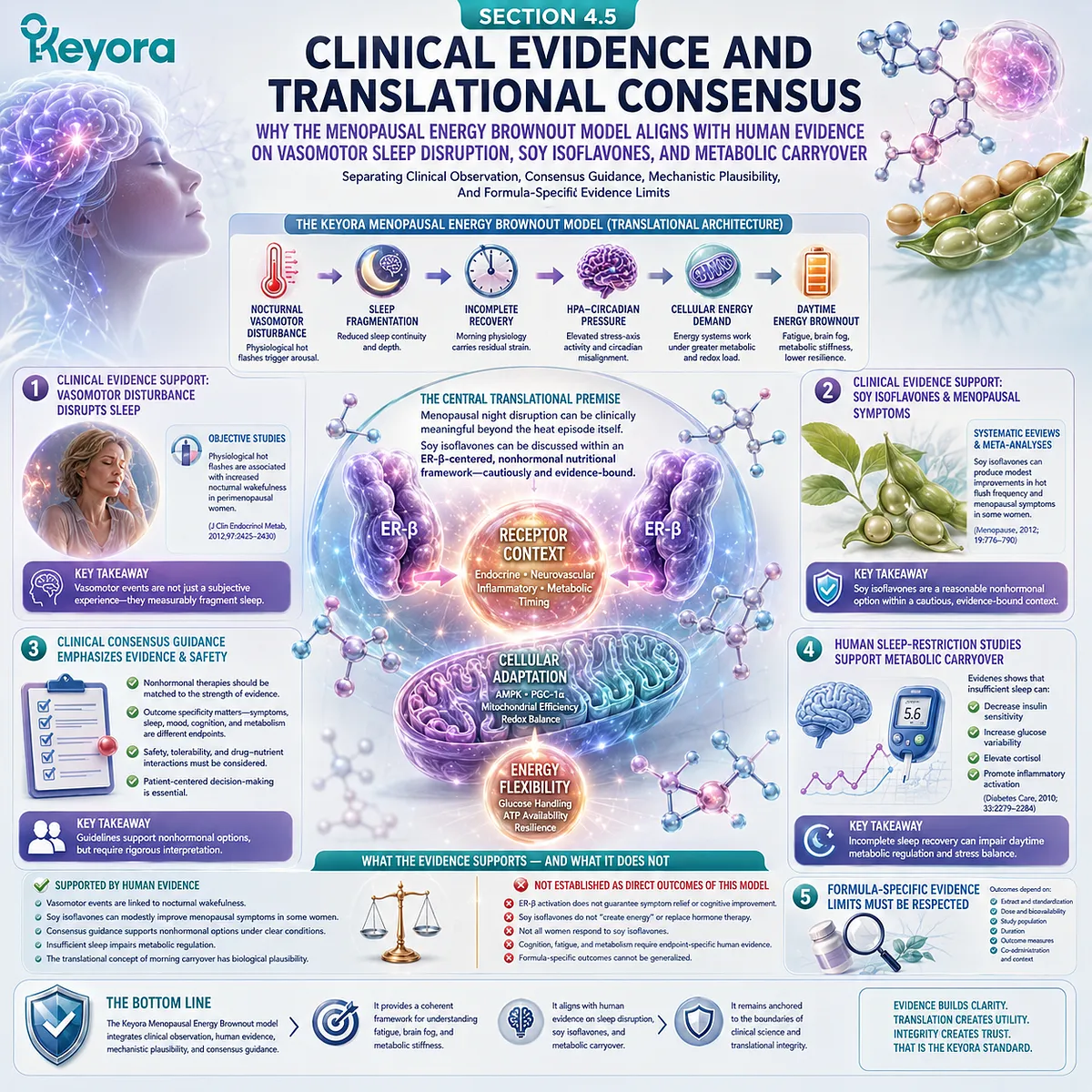 Clinical evidence links vasomotor sleep disruption, ER-β soy isoflavones, and metabolic carryover within menopausal energy strain. Clinical evidence links vasomotor sleep disruption, ER-β soy isoflavones, and metabolic carryover within menopausal energy strain.