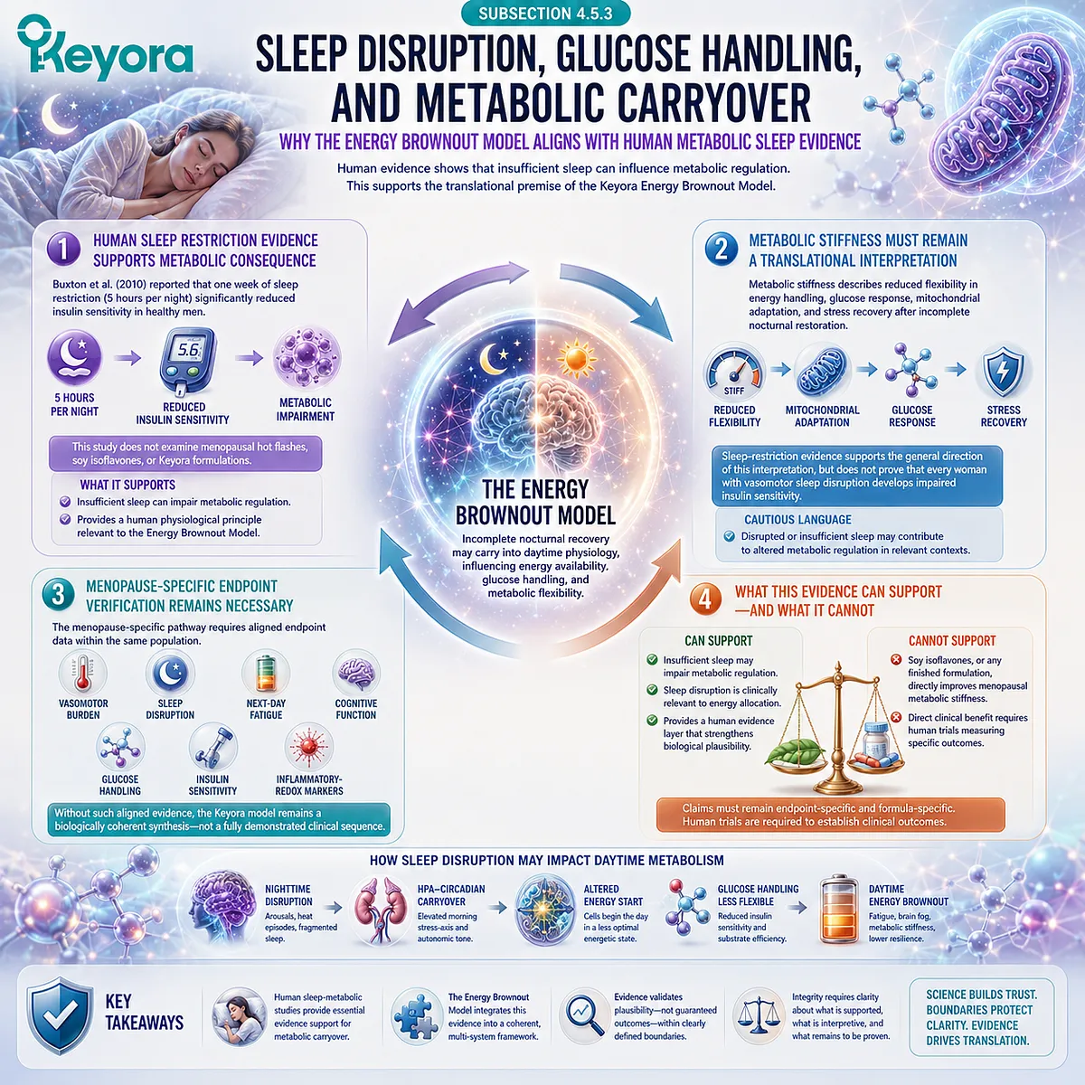 Sleep restriction impairs insulin sensitivity and glucose regulation, supporting the Keyora Menopausal Energy Brownout model. Sleep restriction impairs insulin sensitivity and glucose regulation, supporting the Keyora Menopausal Energy Brownout model.