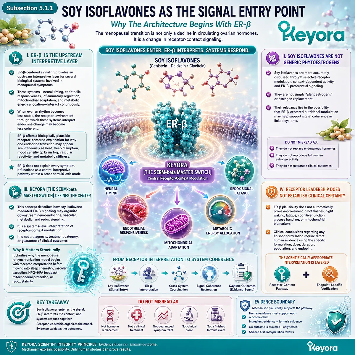 ER-β-centered soy isoflavone signaling stabilizes neurovascular, mitochondrial, and redox interpretation within Keyora’s SERM-beta Master Switch. ER-β-centered soy isoflavone signaling stabilizes neurovascular, mitochondrial, and redox interpretation within Keyora’s SERM-beta Master Switch.