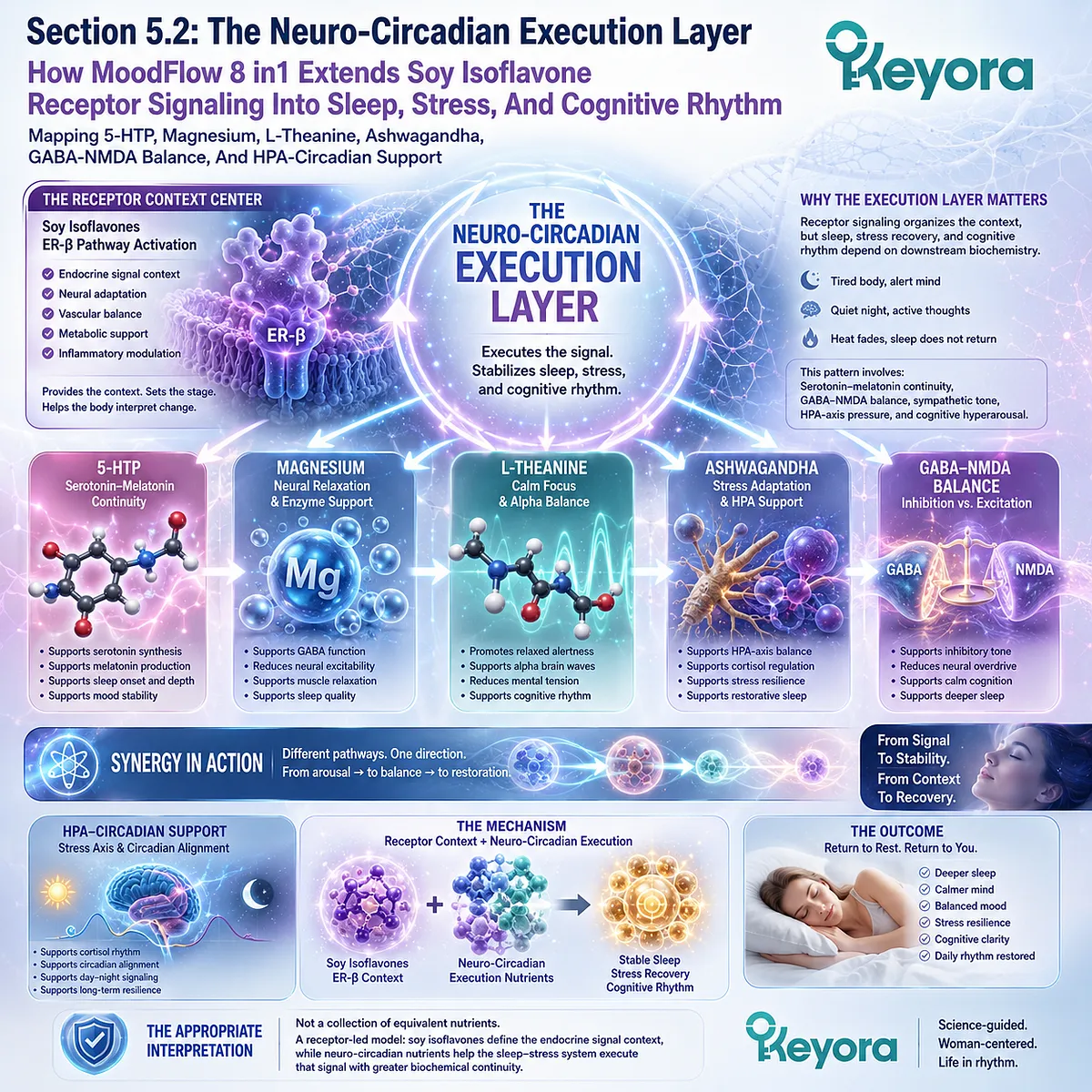 ER-β signaling integrates serotonin-melatonin continuity, GABA-NMDA balance, and HPA-circadian recovery within Keyora’s Neuro-Circadian Execution Layer. ER-β signaling integrates serotonin-melatonin continuity, GABA-NMDA balance, and HPA-circadian recovery within Keyora’s Neuro-Circadian Execution Layer.