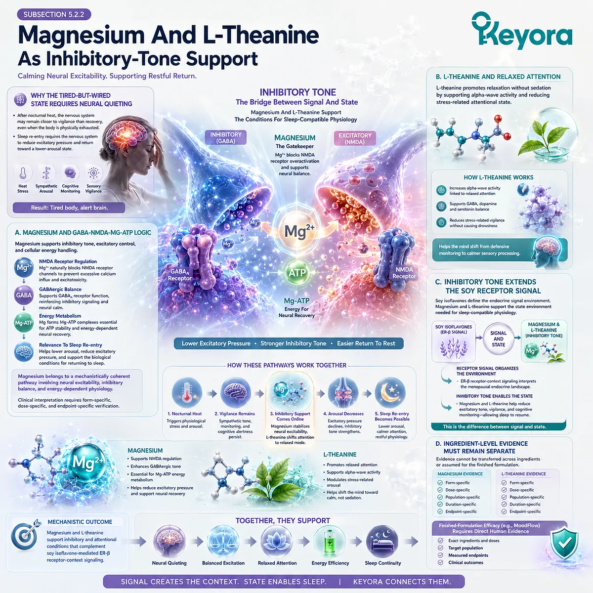 Magnesium, L-theanine, and ER-β signaling coordinate GABA-NMDA balance, inhibitory tone, and neuro-circadian recovery in tired-but-wired physiology. Magnesium, L-theanine, and ER-β signaling coordinate GABA-NMDA balance, inhibitory tone, and neuro-circadian recovery in tired-but-wired physiology.